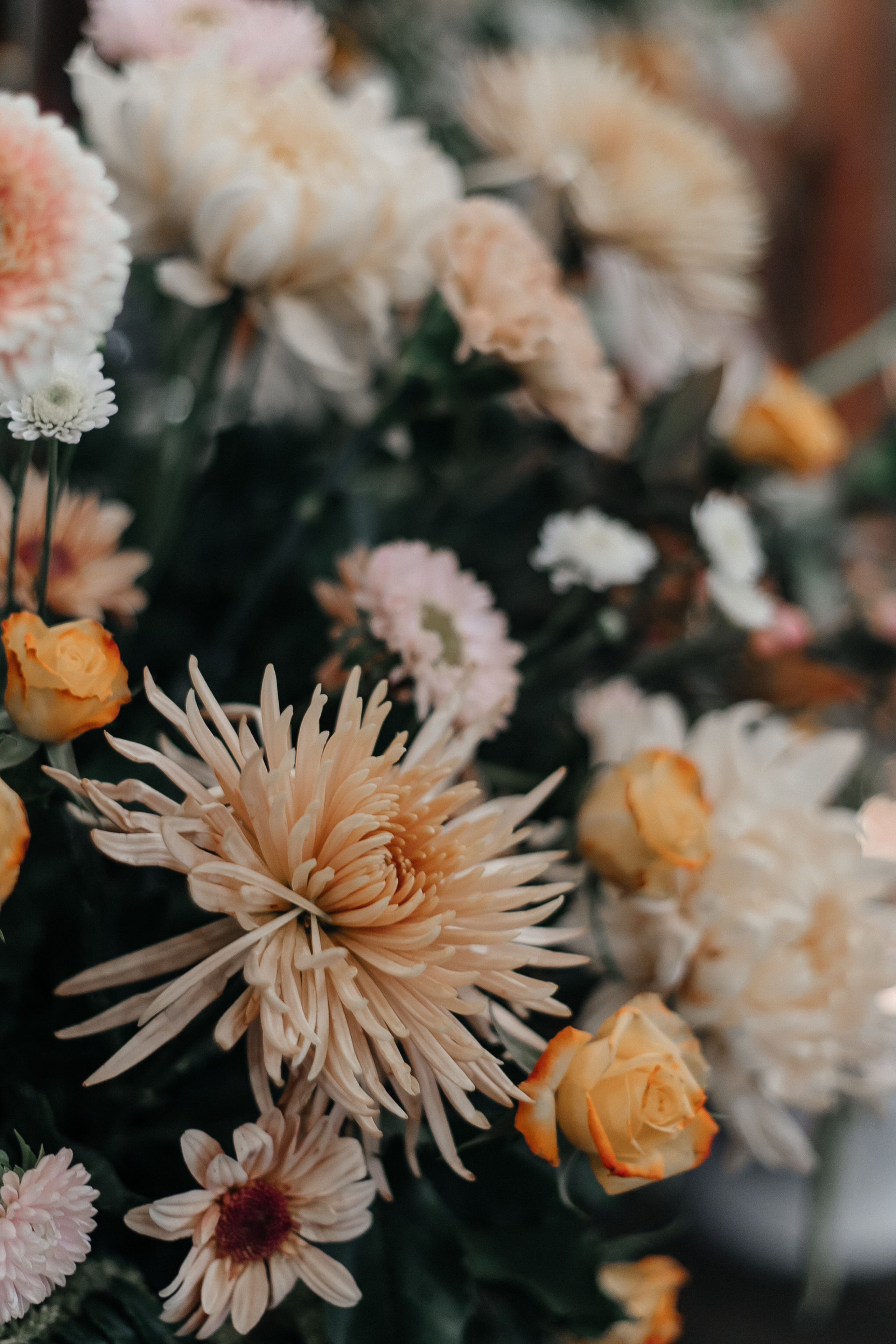 История четвертая Даша и Рома