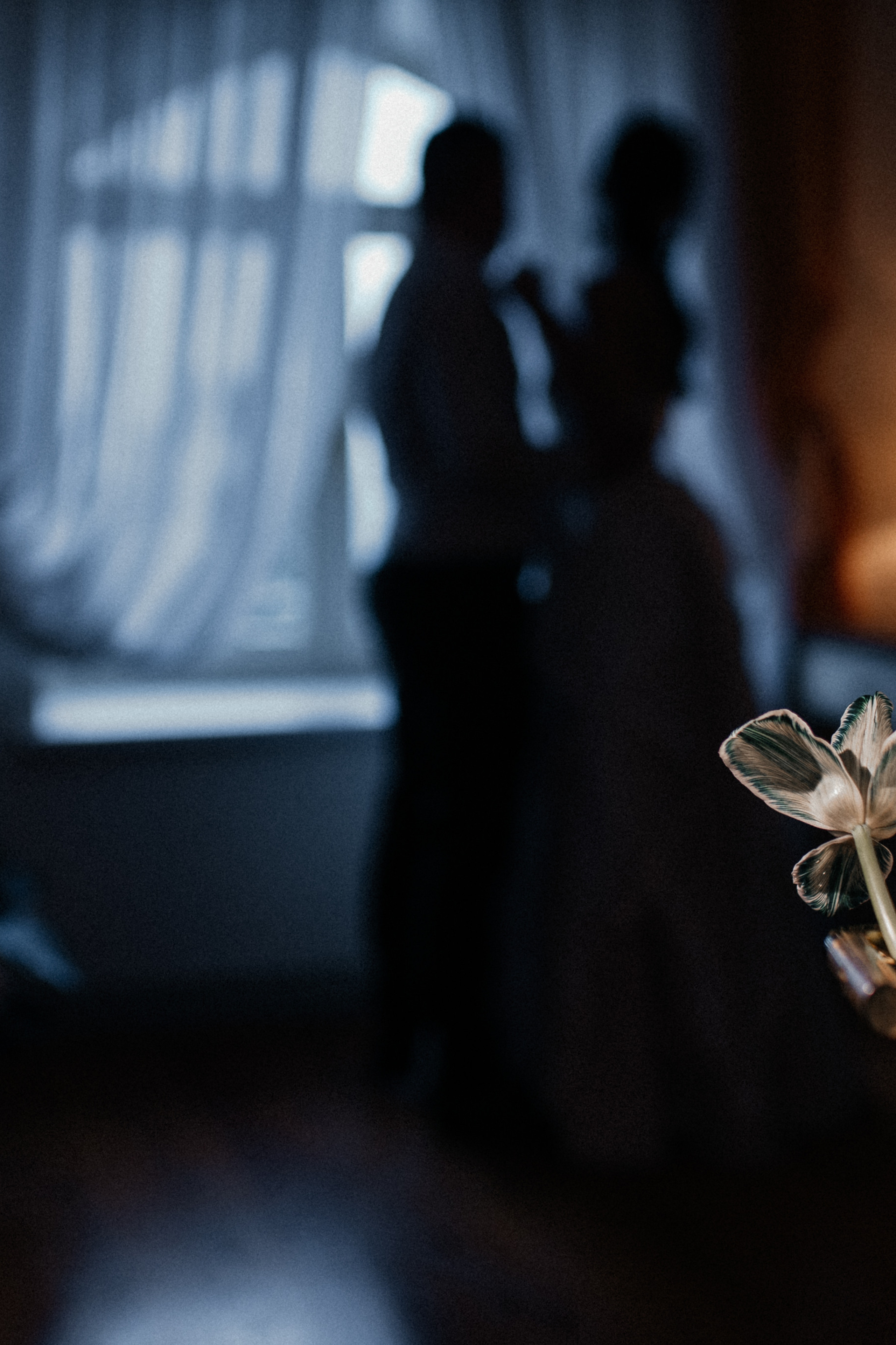 История пятая Черная монстера