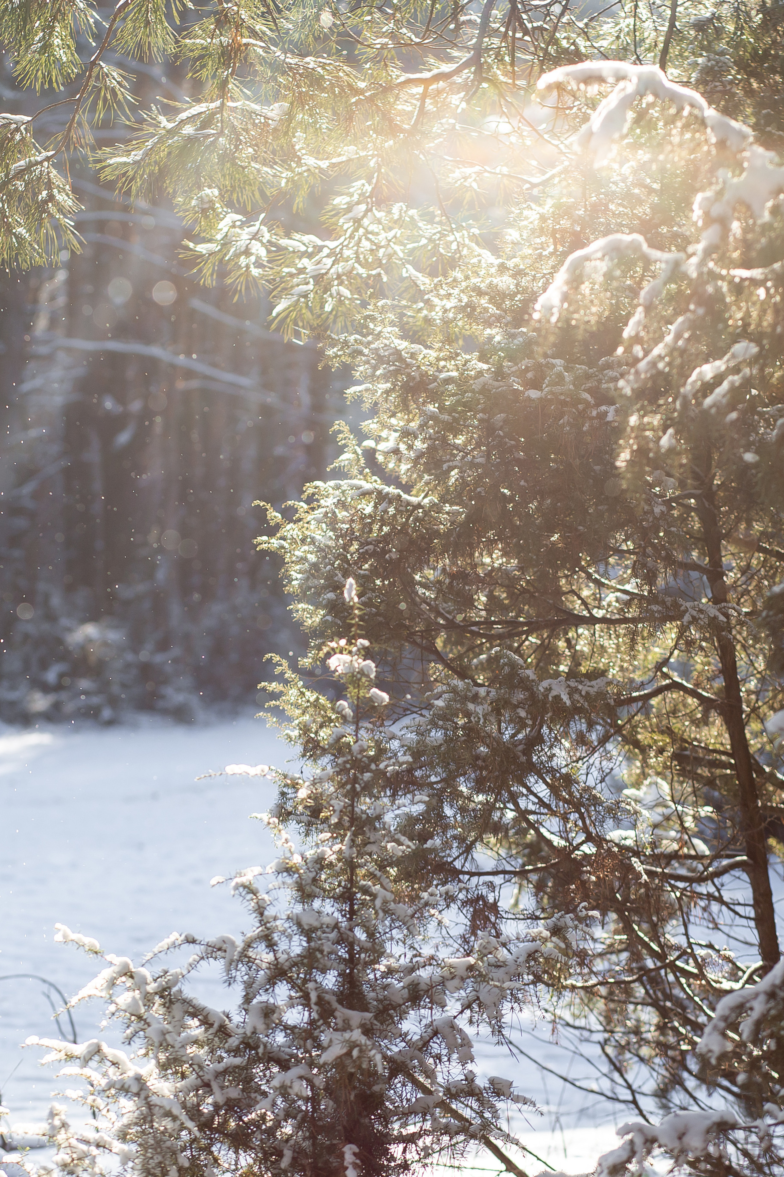 FEEDBACK. Свадебный фотограф и видеограф