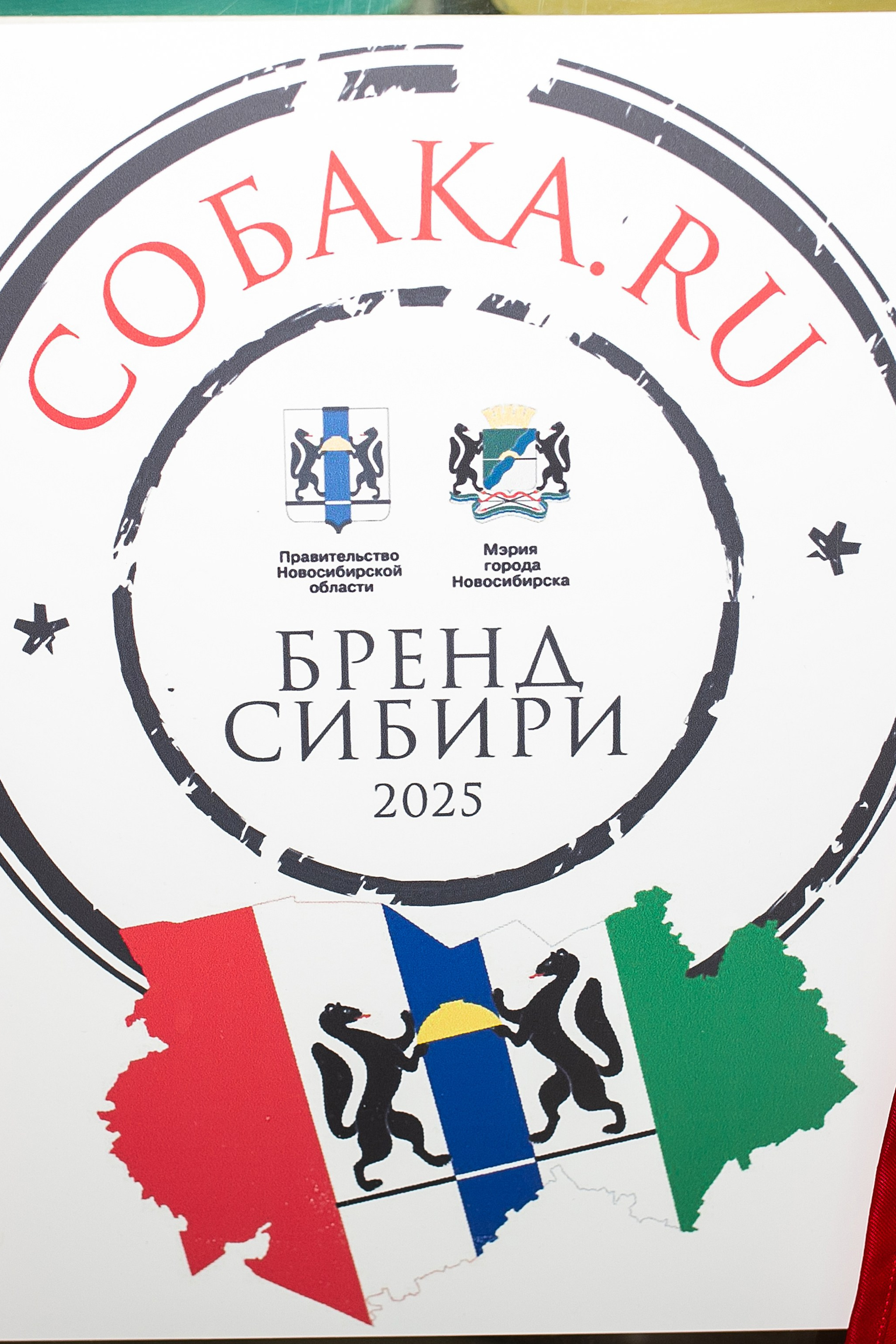 Истории. Фотограф новорожденных и семейный фотограф НСО г. Бердск Марина Львова