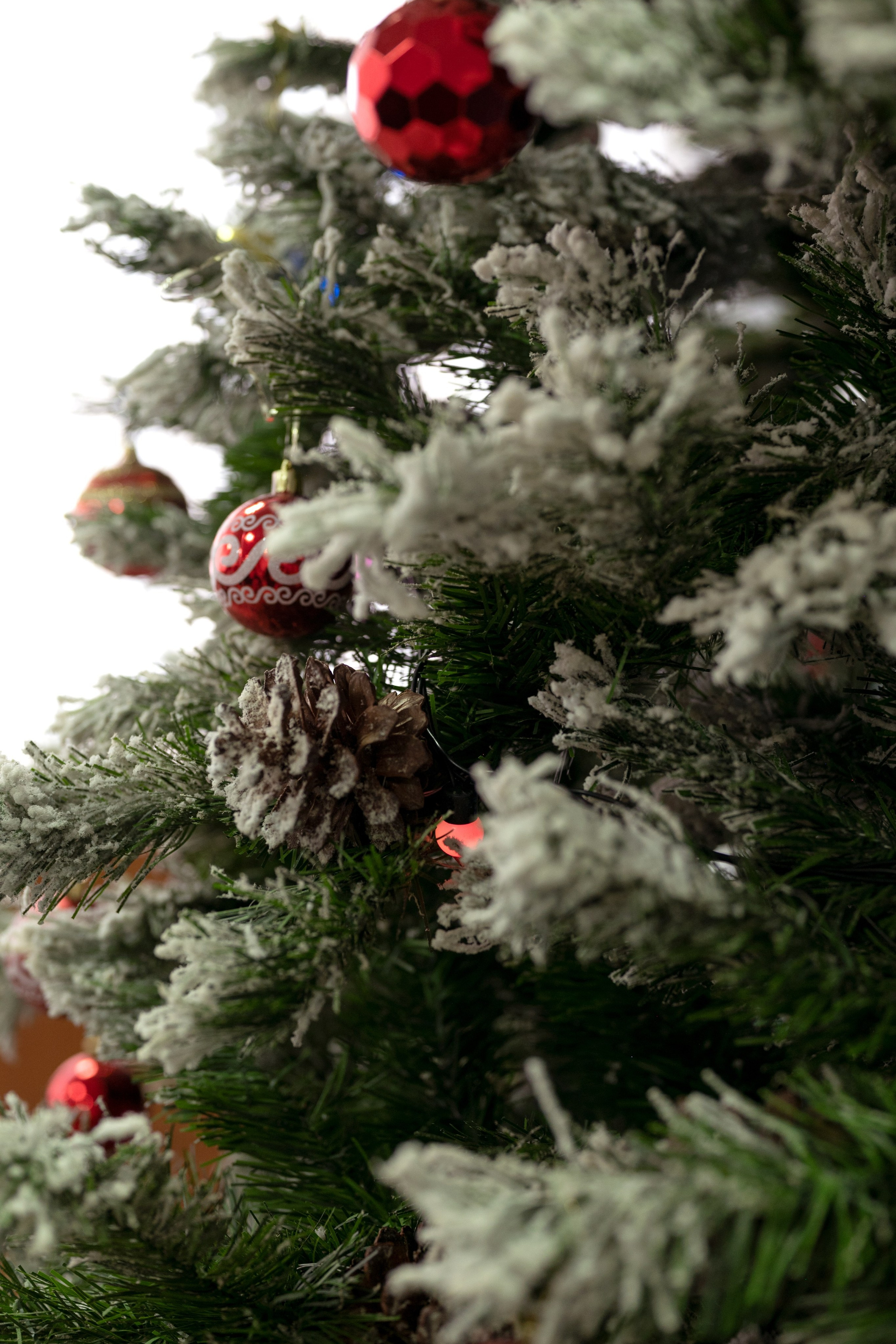 Отзывы. Семейный и детский фотограф Екатерина Гусева. город Тайшет