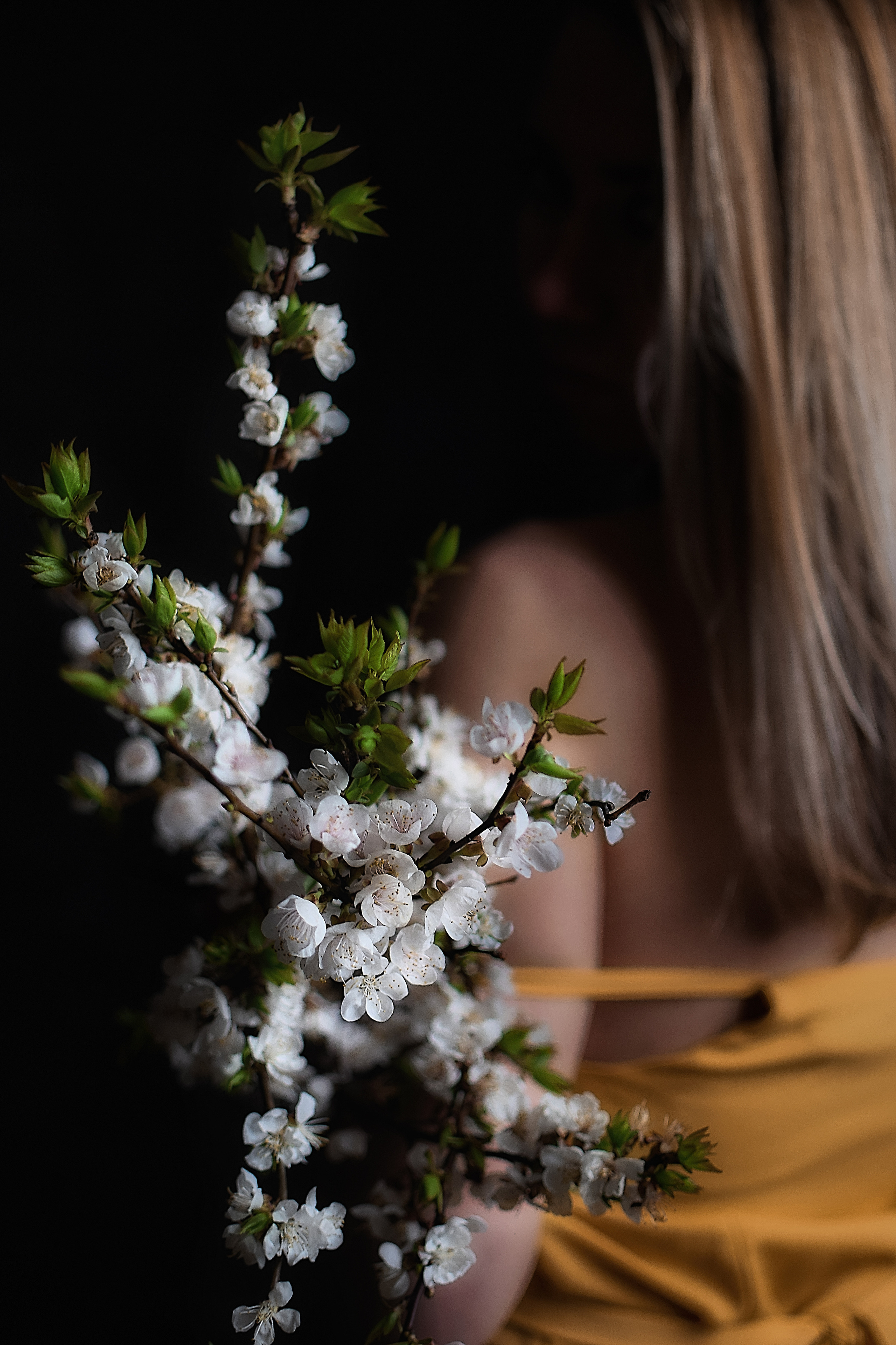 Истории. Предметный фотограф, контент-фотограф