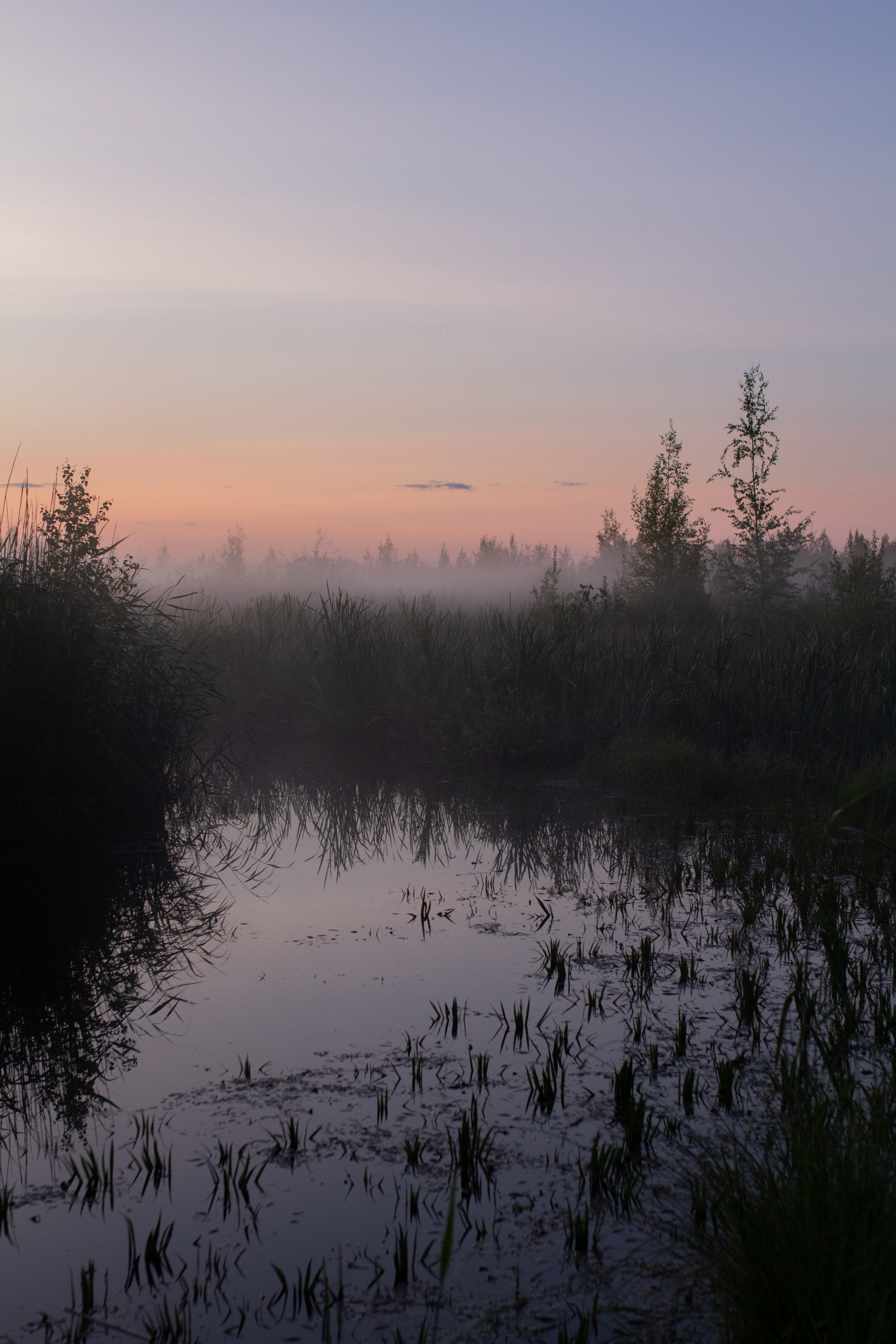 Природа вокруг нас. Ksenzova Veronika photographer