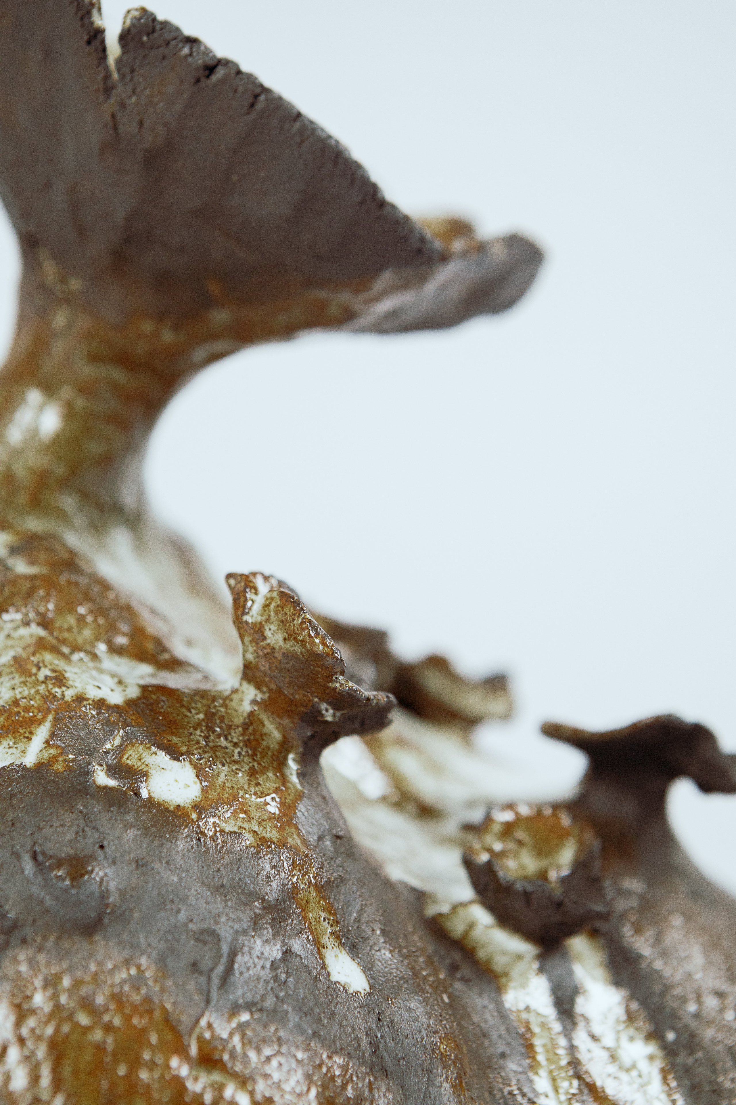 Di.Art.Ceramics. Алиса Сафина — Фотограф Тверь. Организация фотосессий под ключ