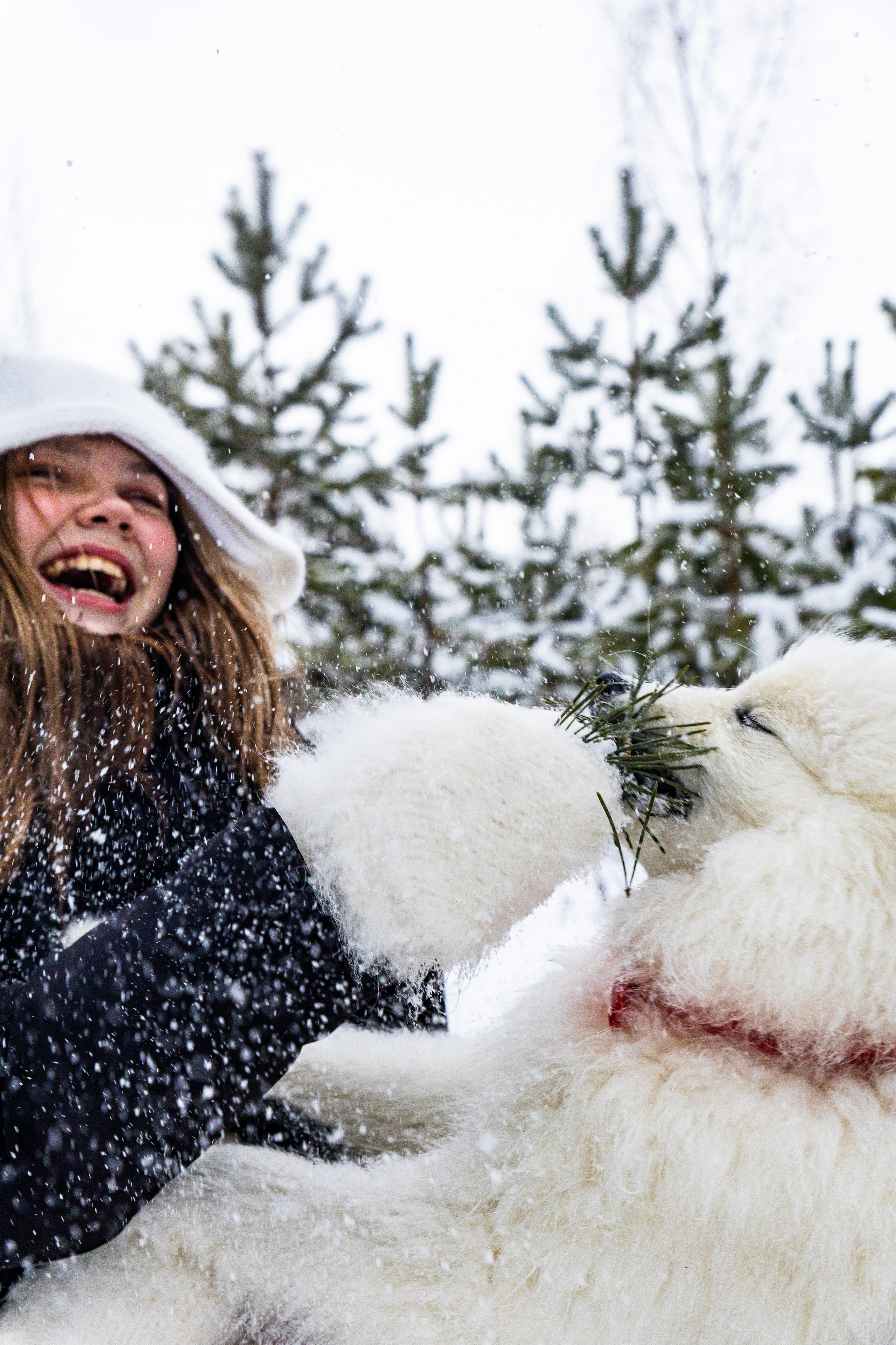 Истории. Главная