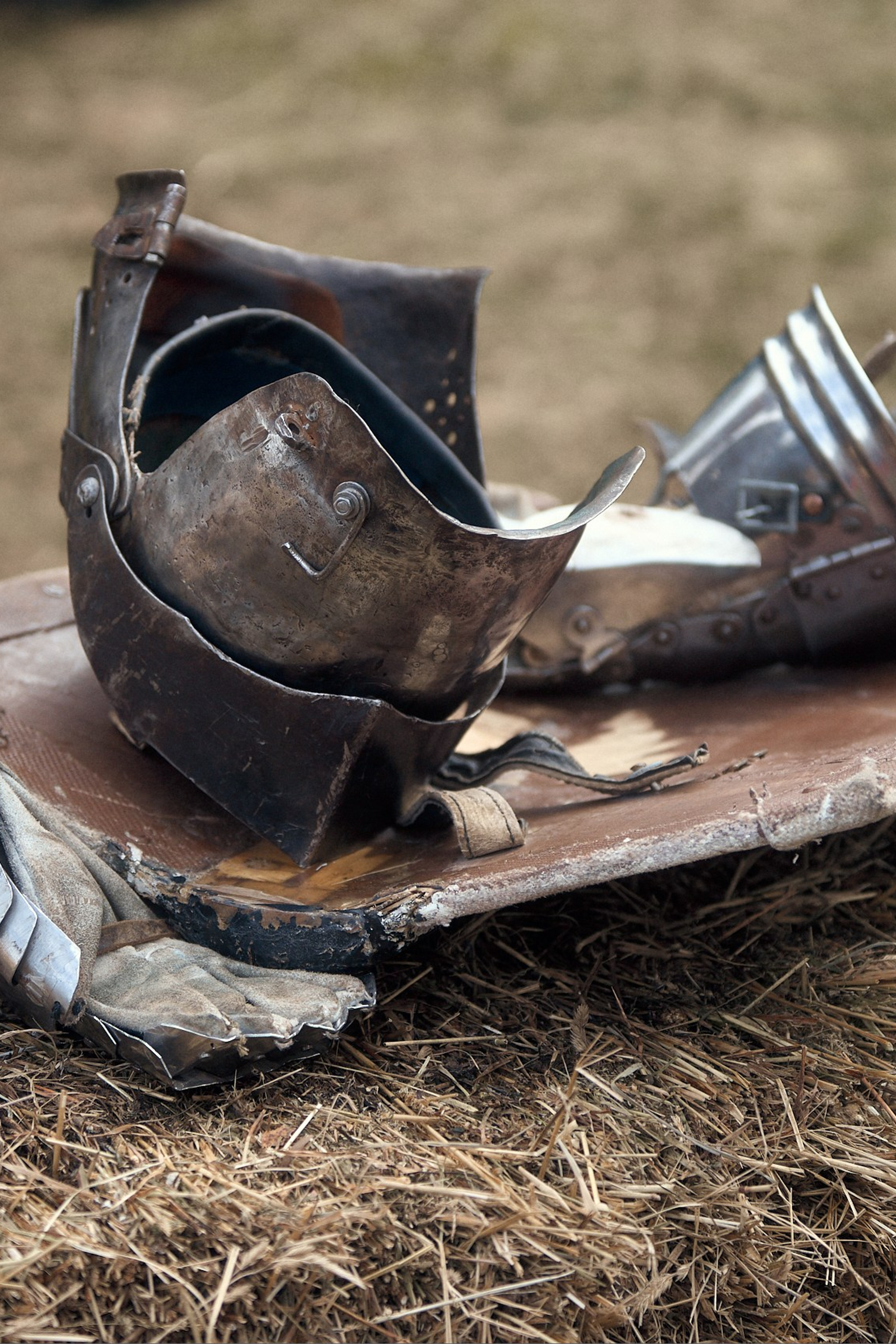 Новоторжский рубеж 2026: исторический фестиваль в Василёво