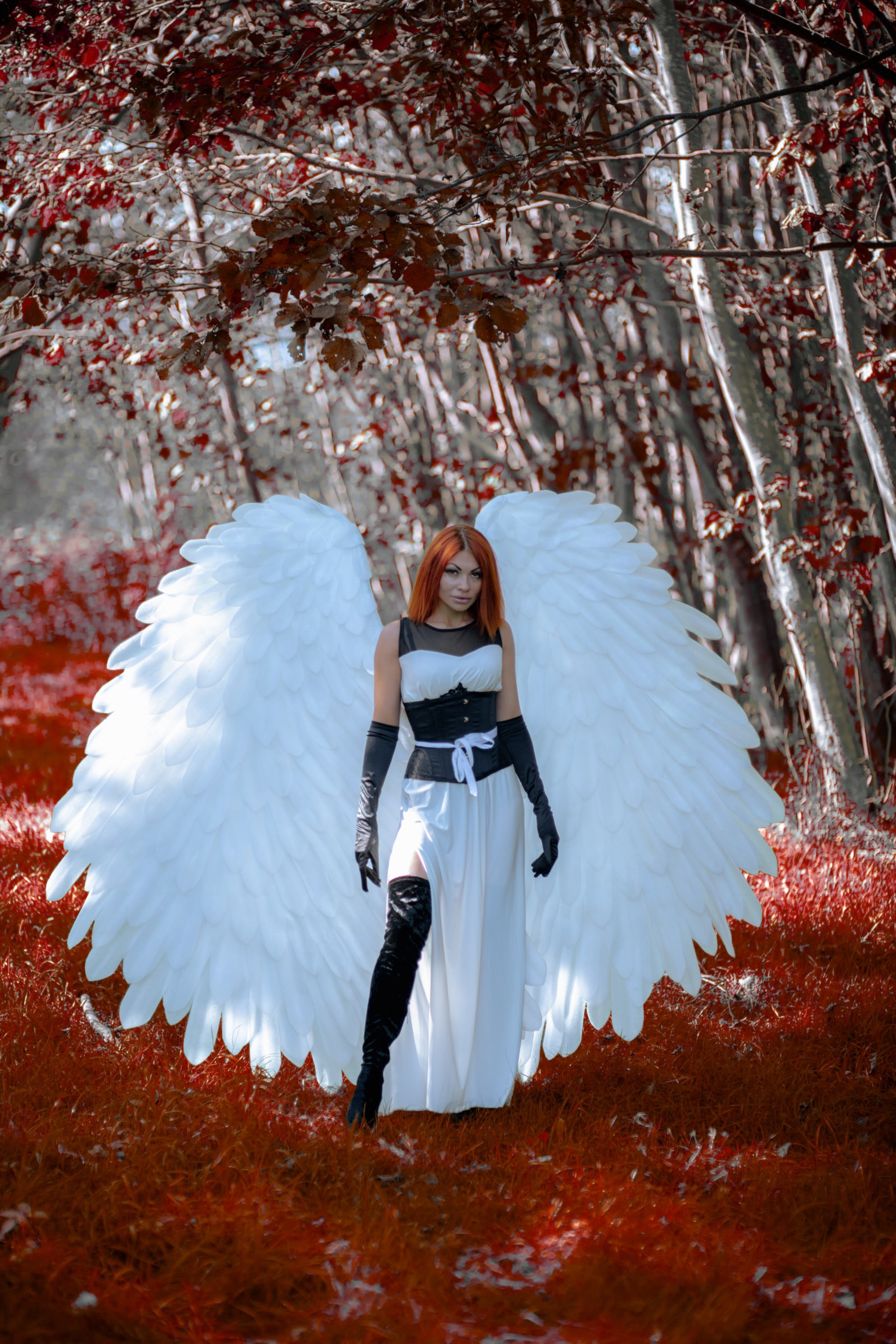 Крылья в&nbsp;аренду