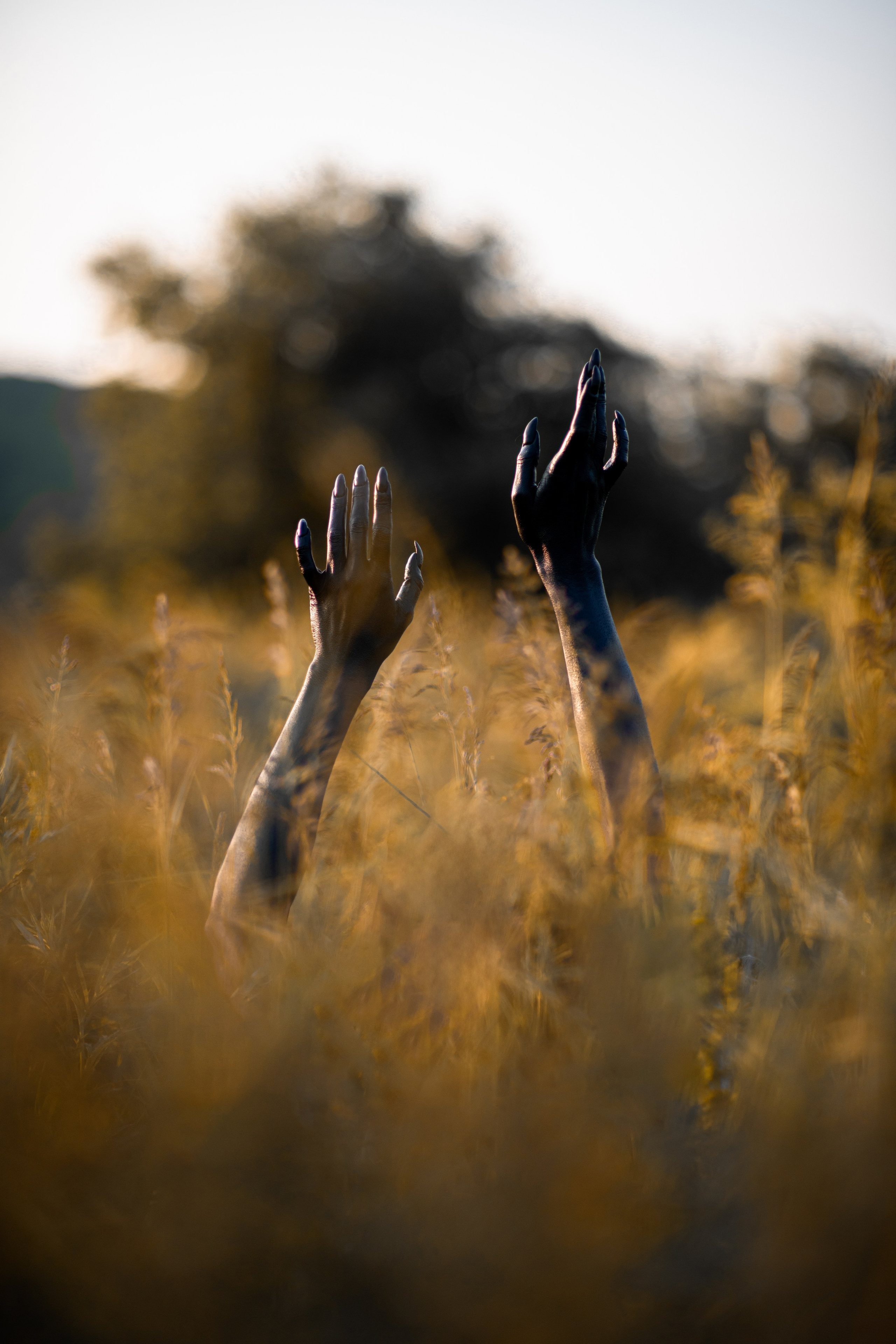 Перчатки в&nbsp;аренду