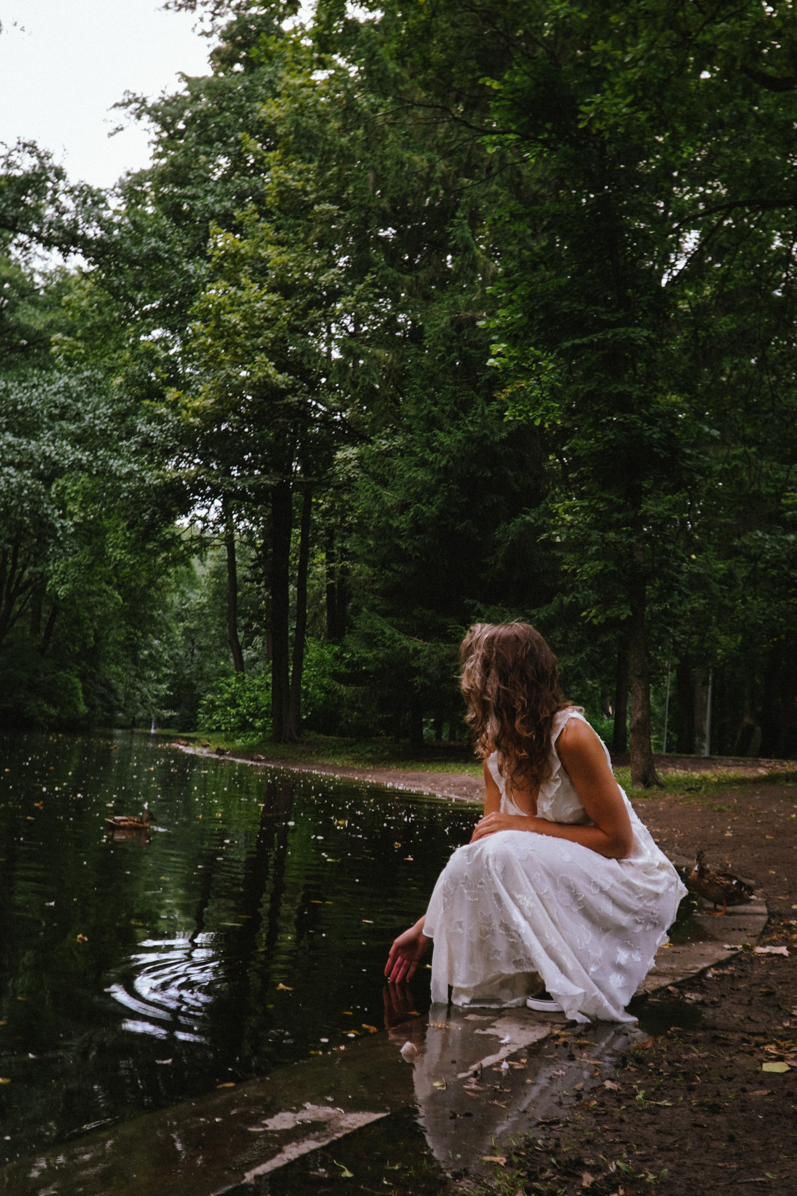 эстетика леса фотосессия