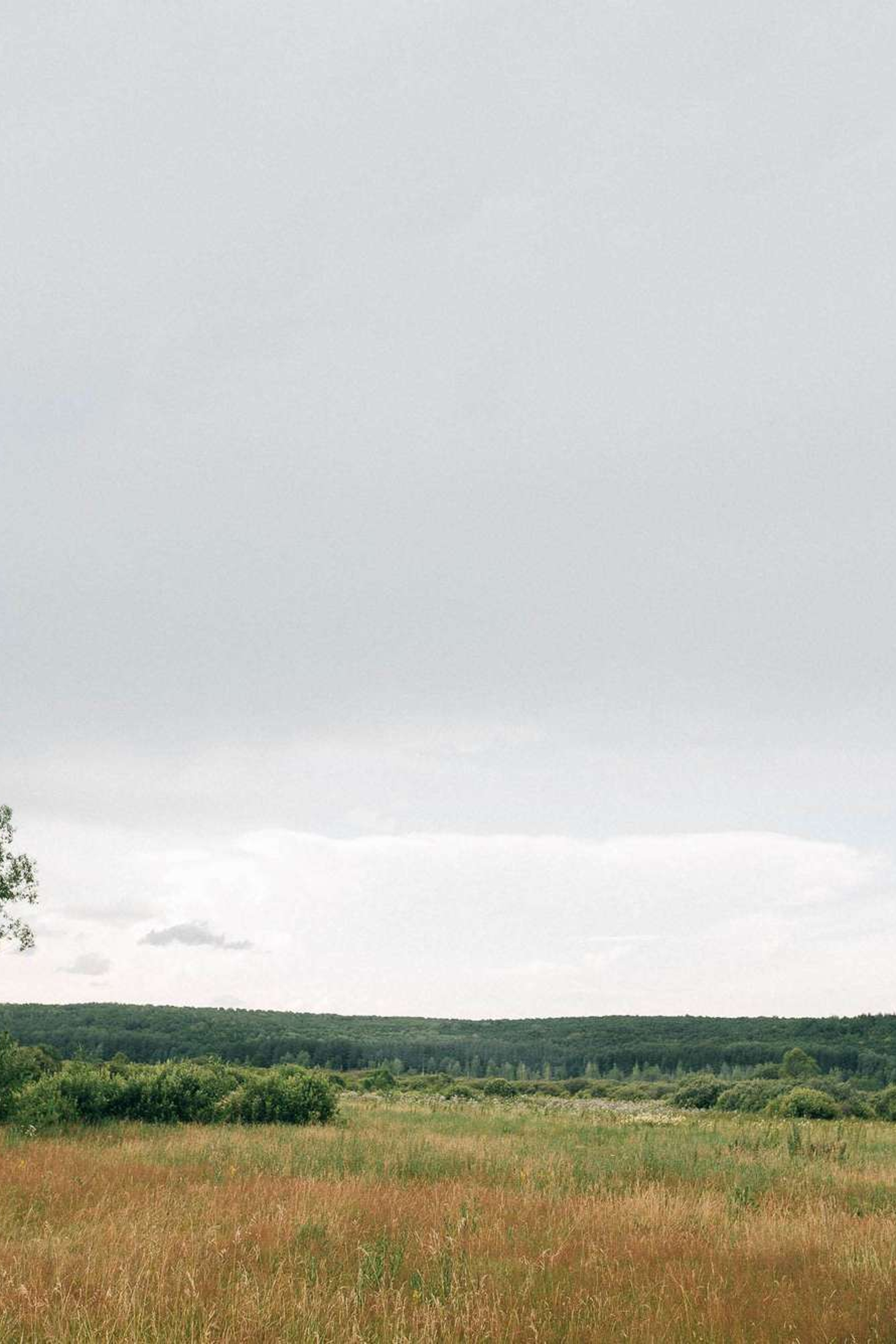 Катя и Тимур