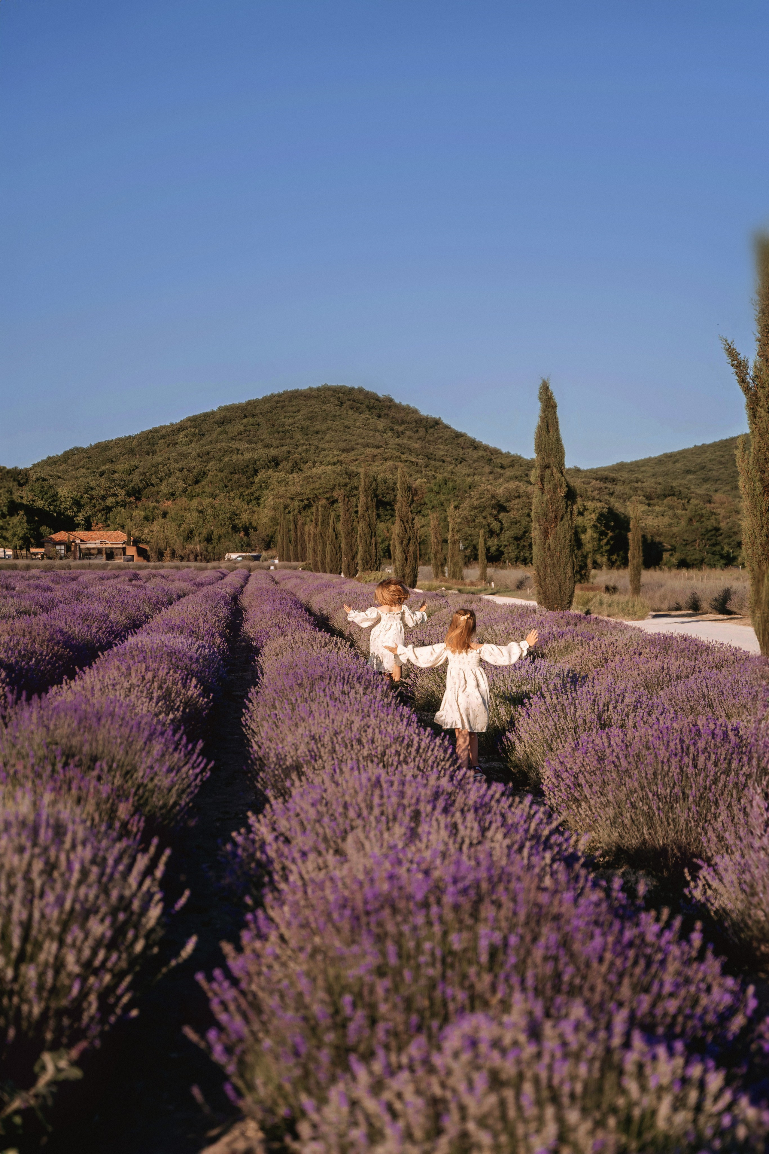 Семейные съемки. Татьяна Тагель