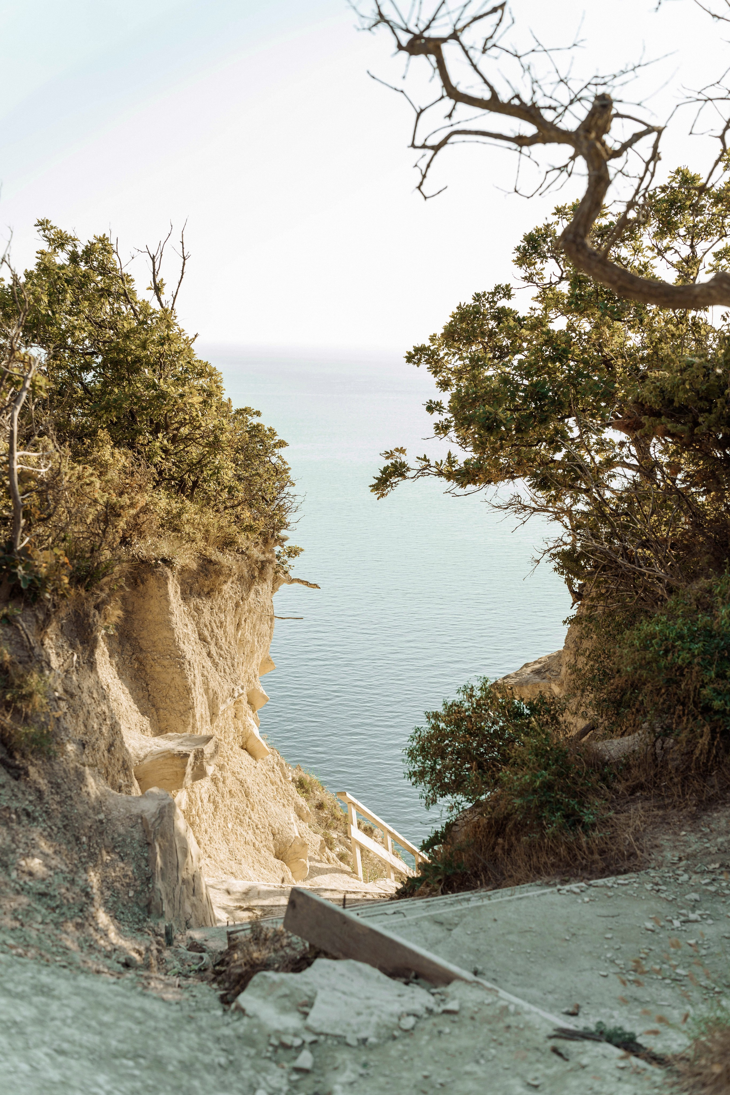 Семейные съемки. Татьяна Тагель