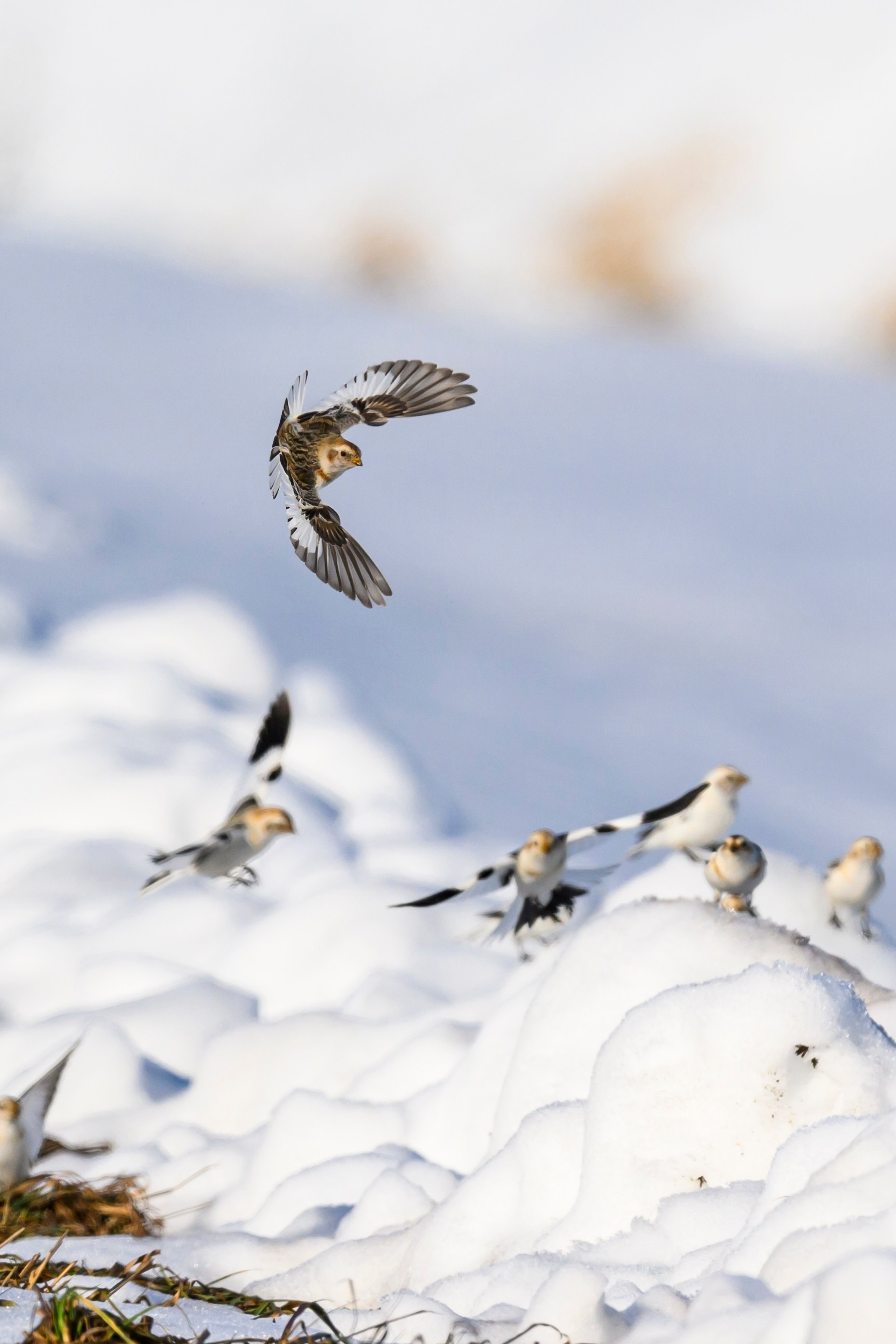 Фотограф Сергей Пупонин