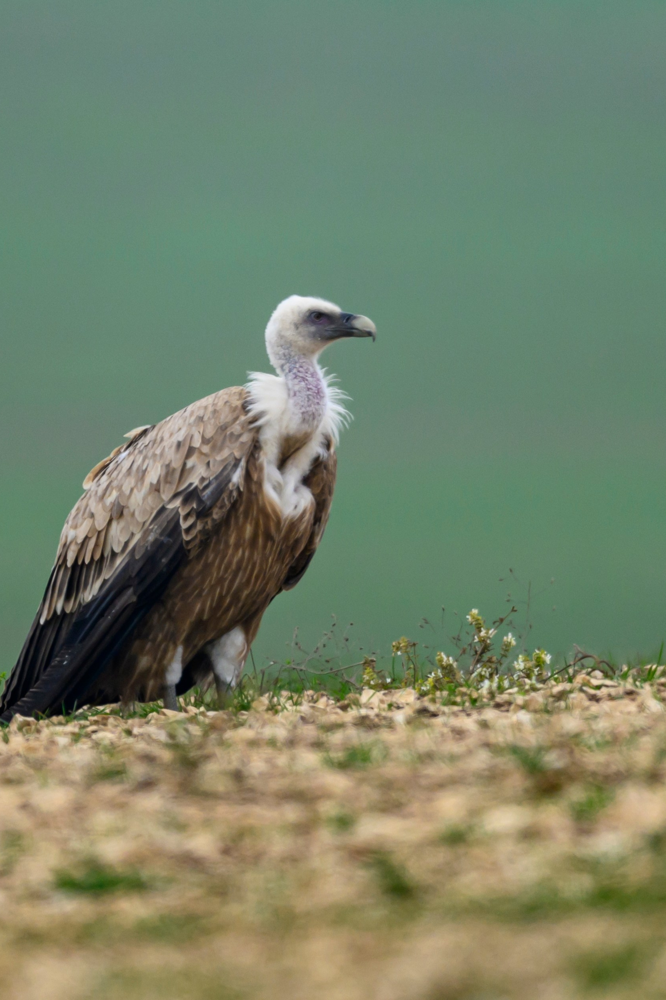Дагестан. Ноябрь 2025