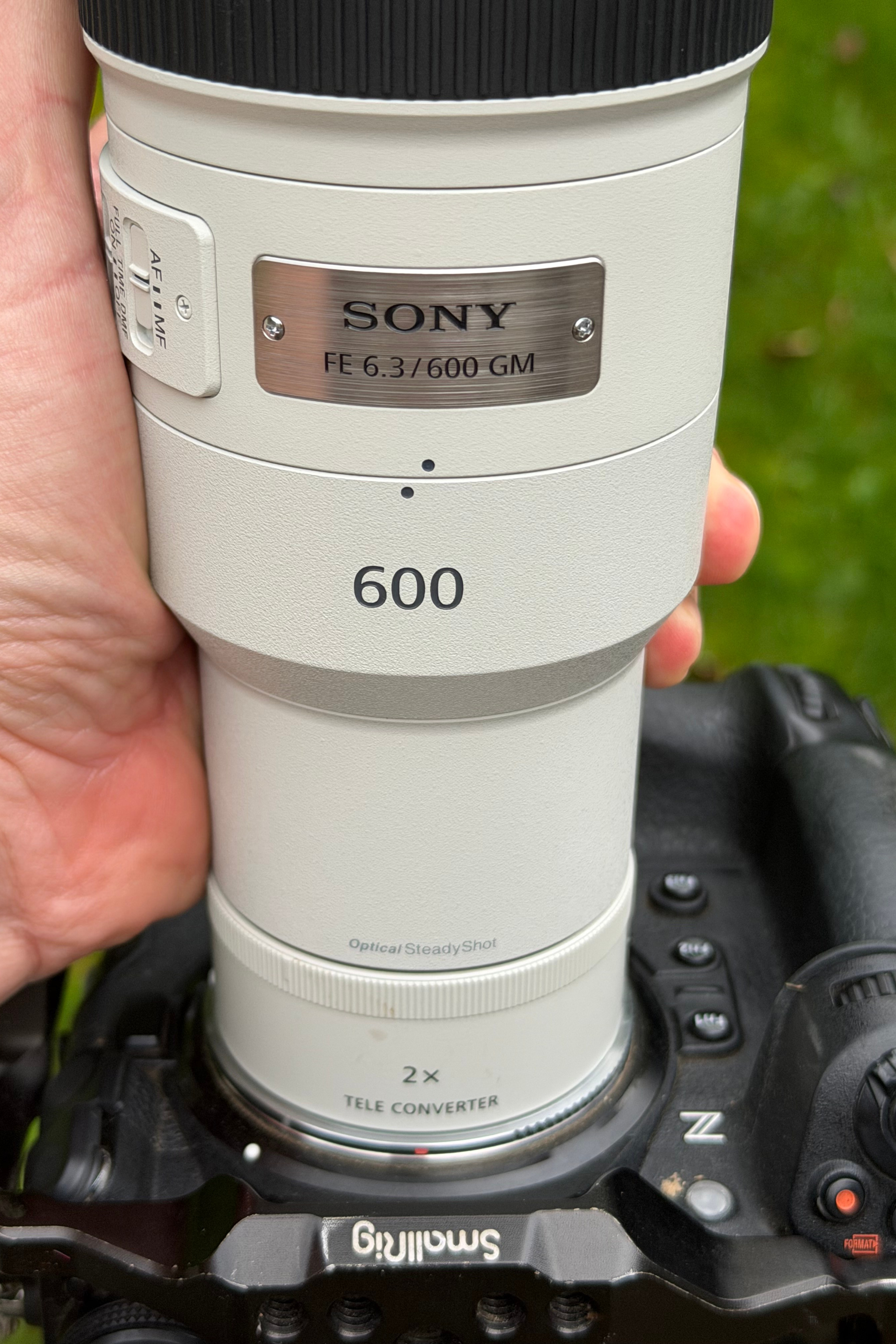 Полевое тестирование Sony 600 mm F/6.3 GM OSS. День первый. Фотограф Сергей Пупонин