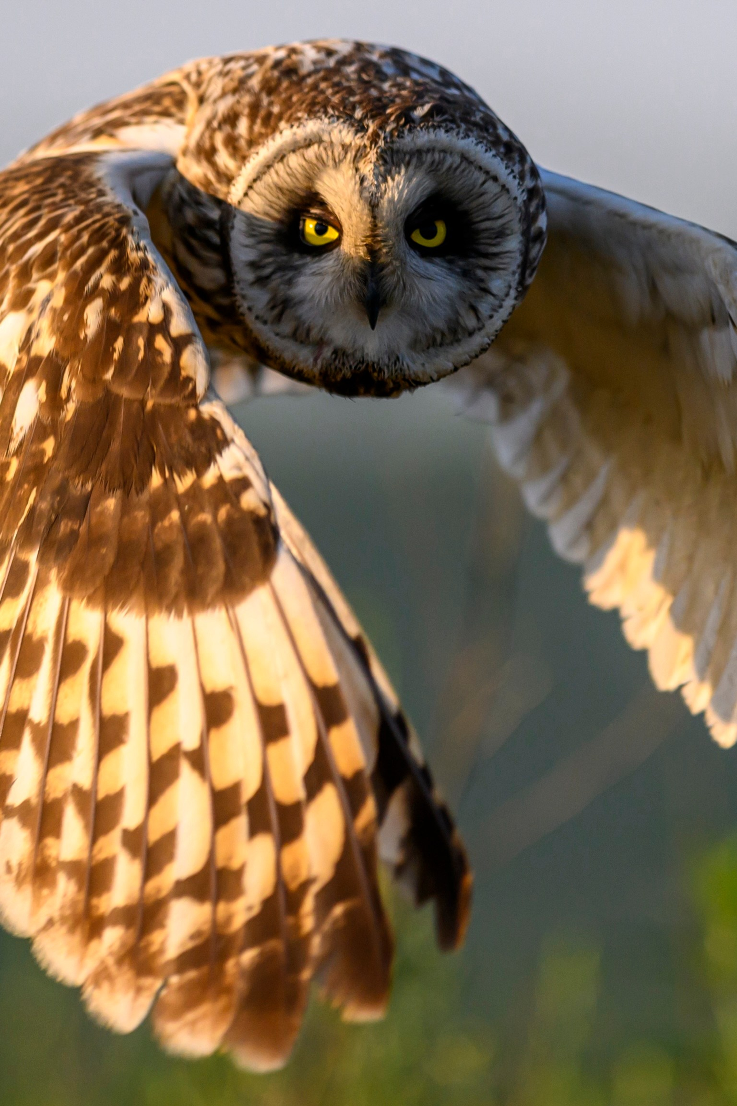 Фотограф Сергей Пупонин