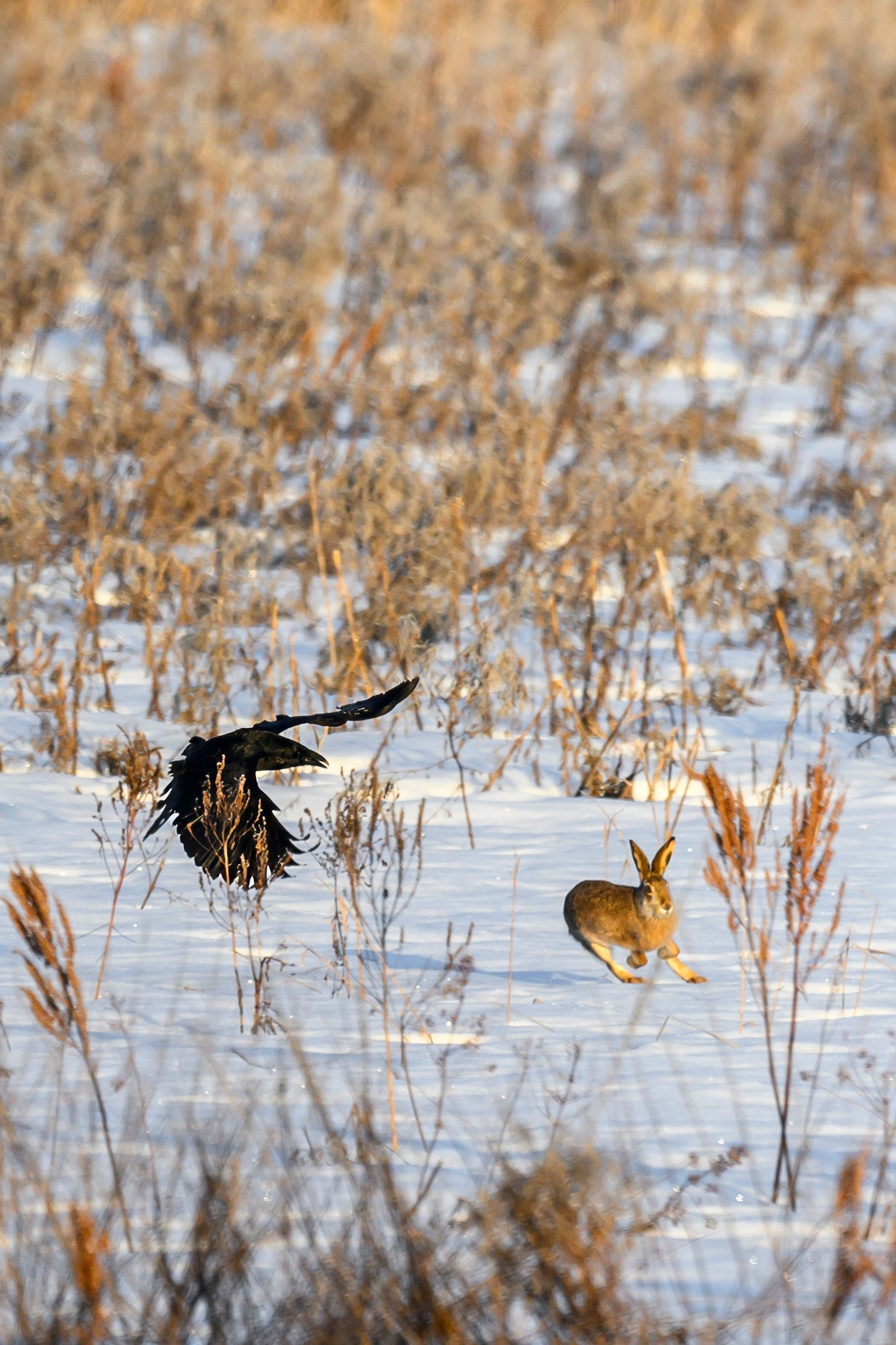 Фотограф Сергей Пупонин
