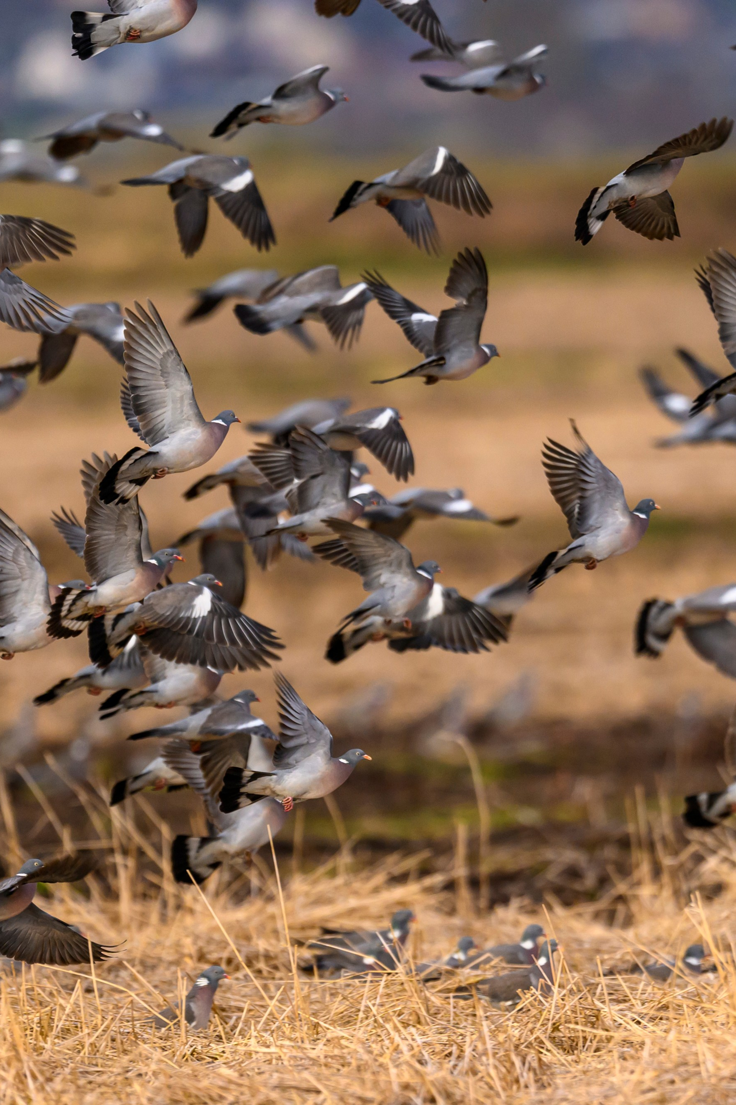 Фотограф Сергей Пупонин