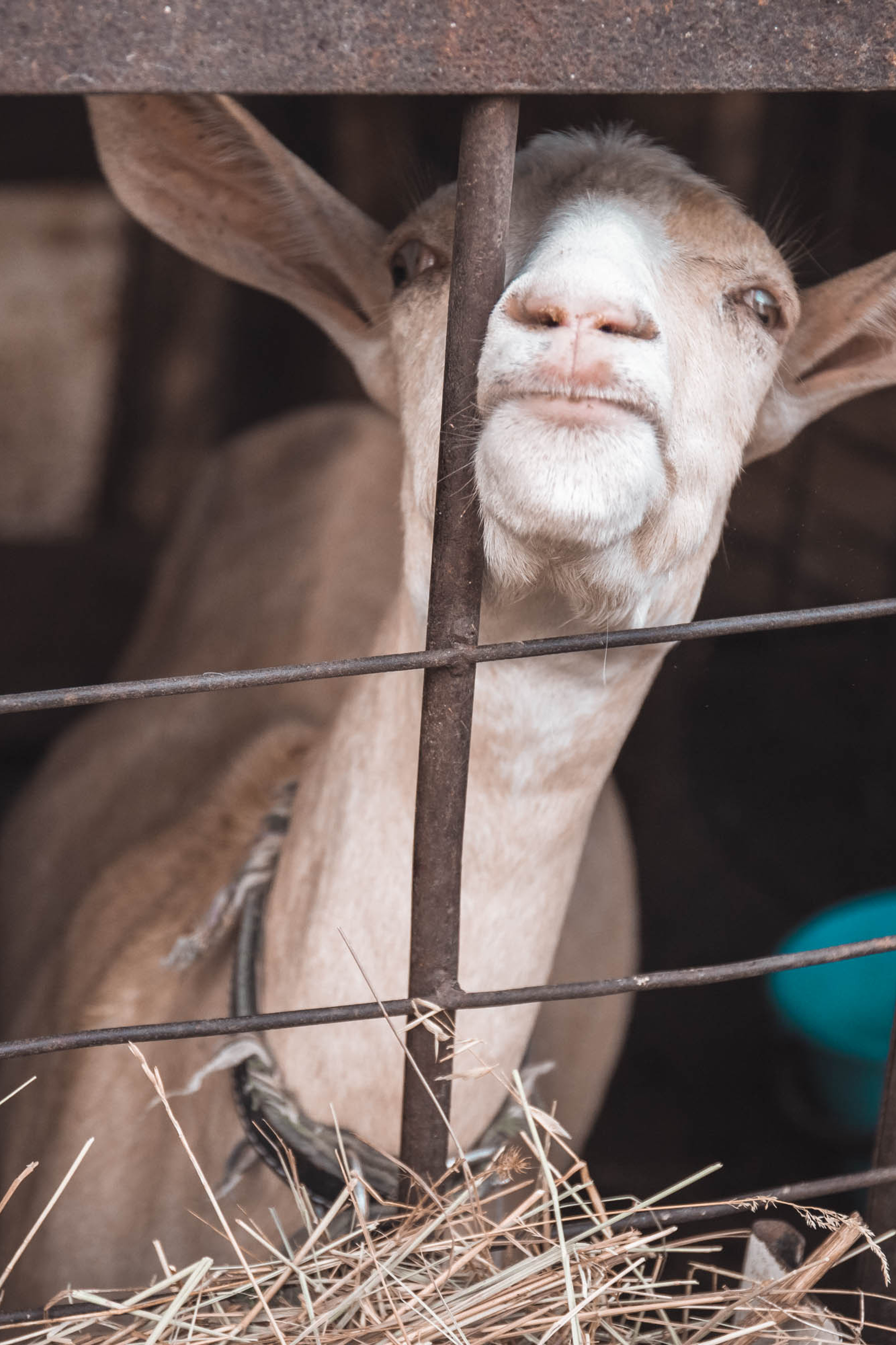 один день в деревне