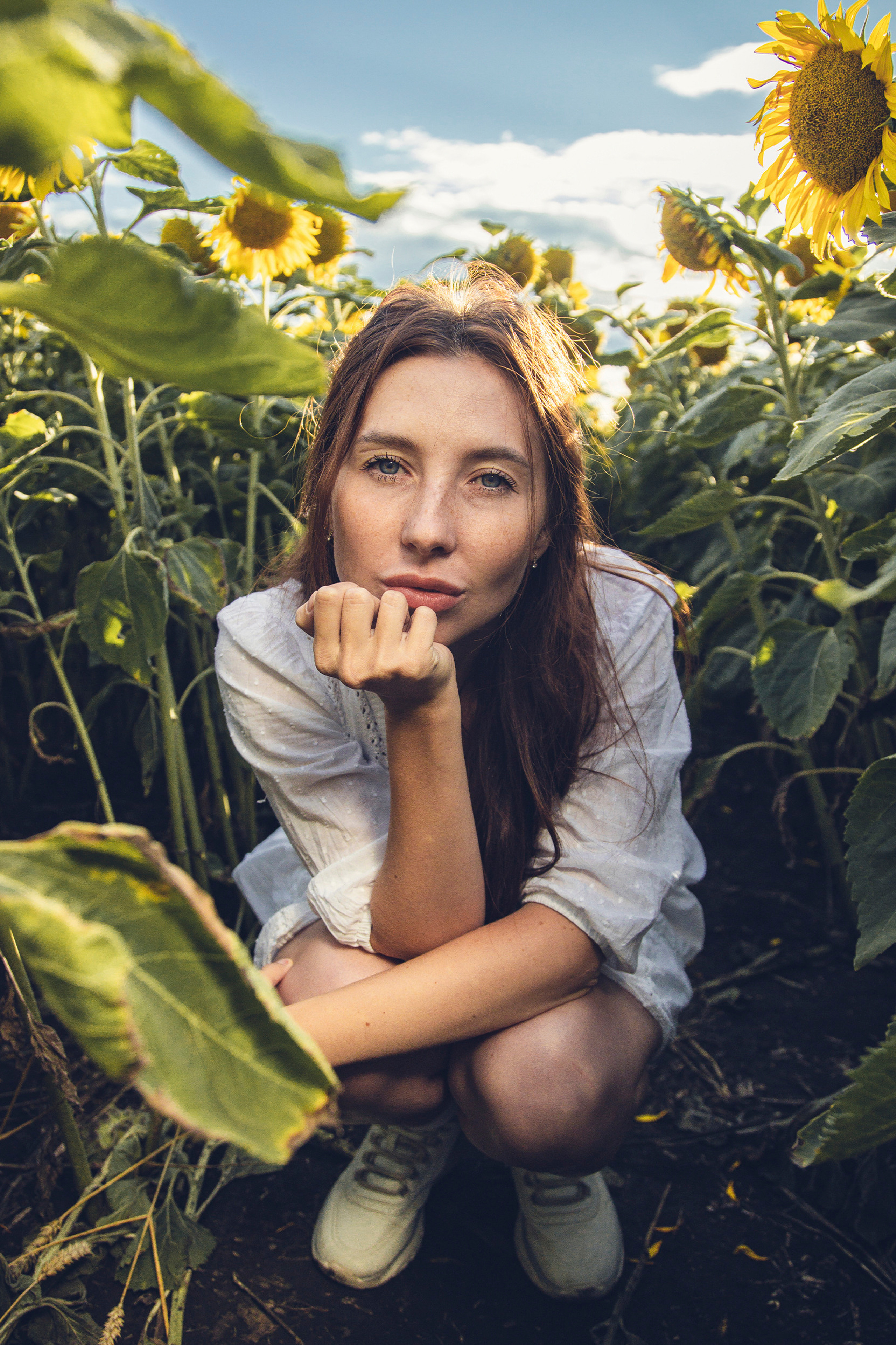 Подсолнухи. Md: Вика