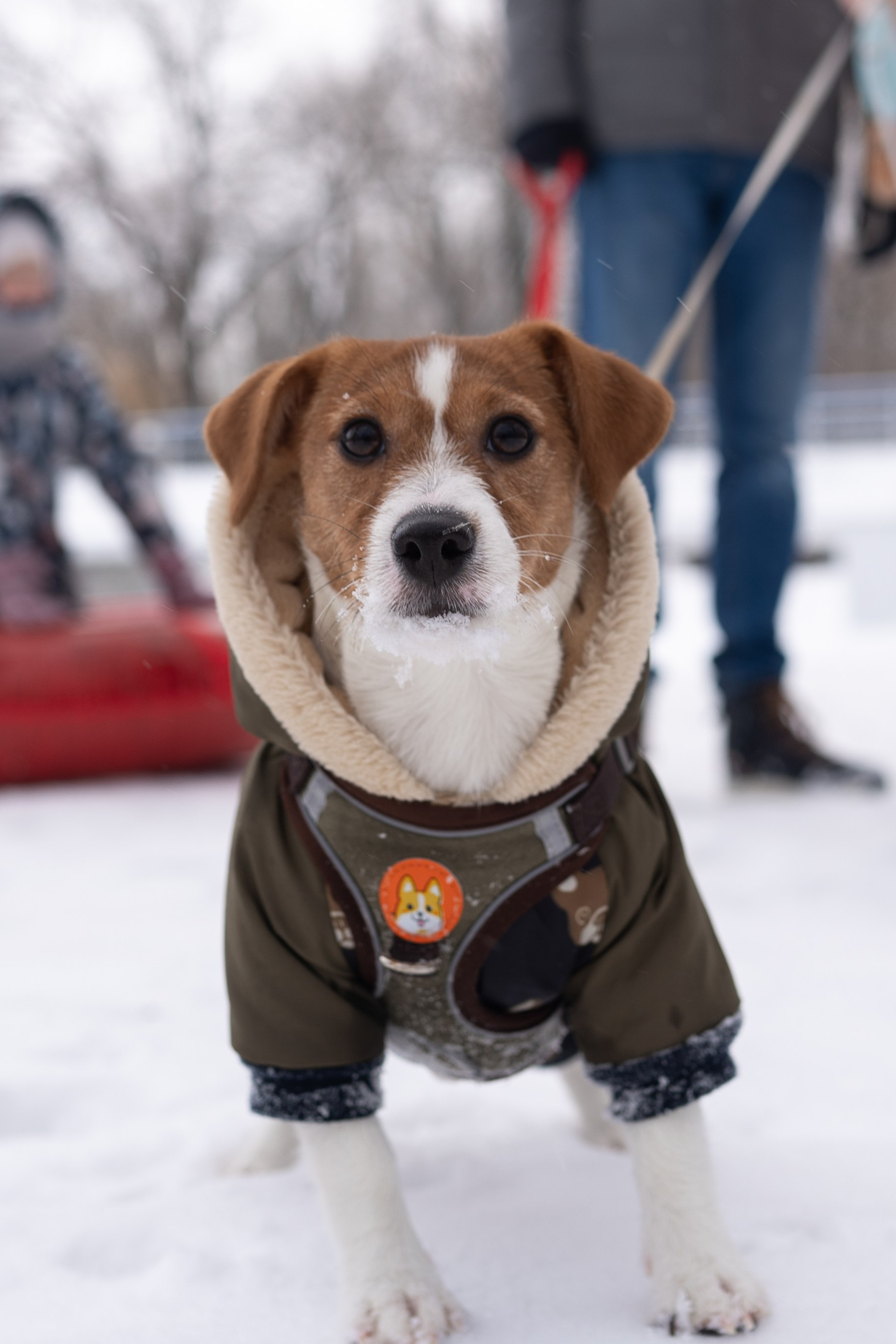 Семья Дикуниных