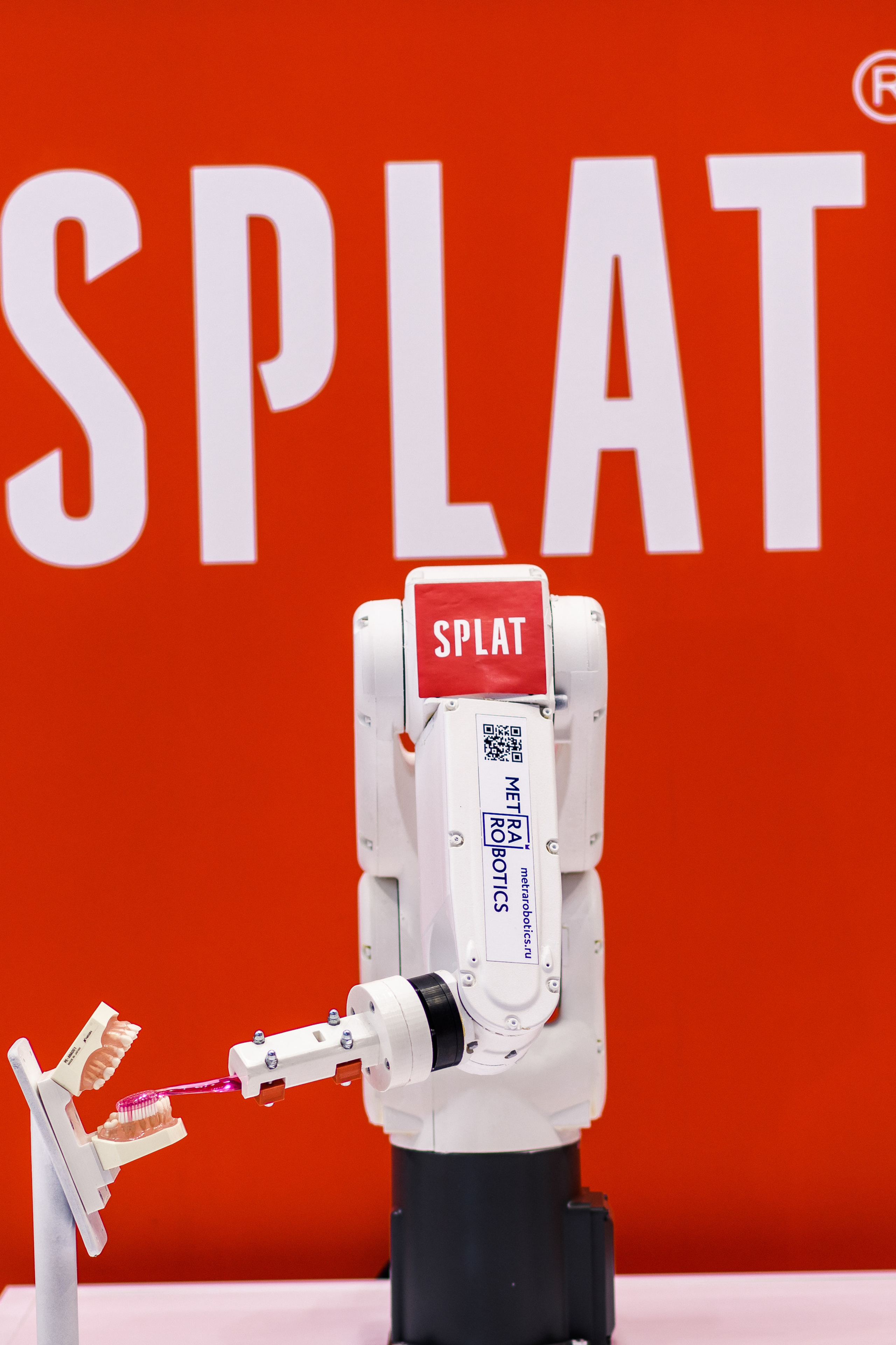 SPLAT выставка