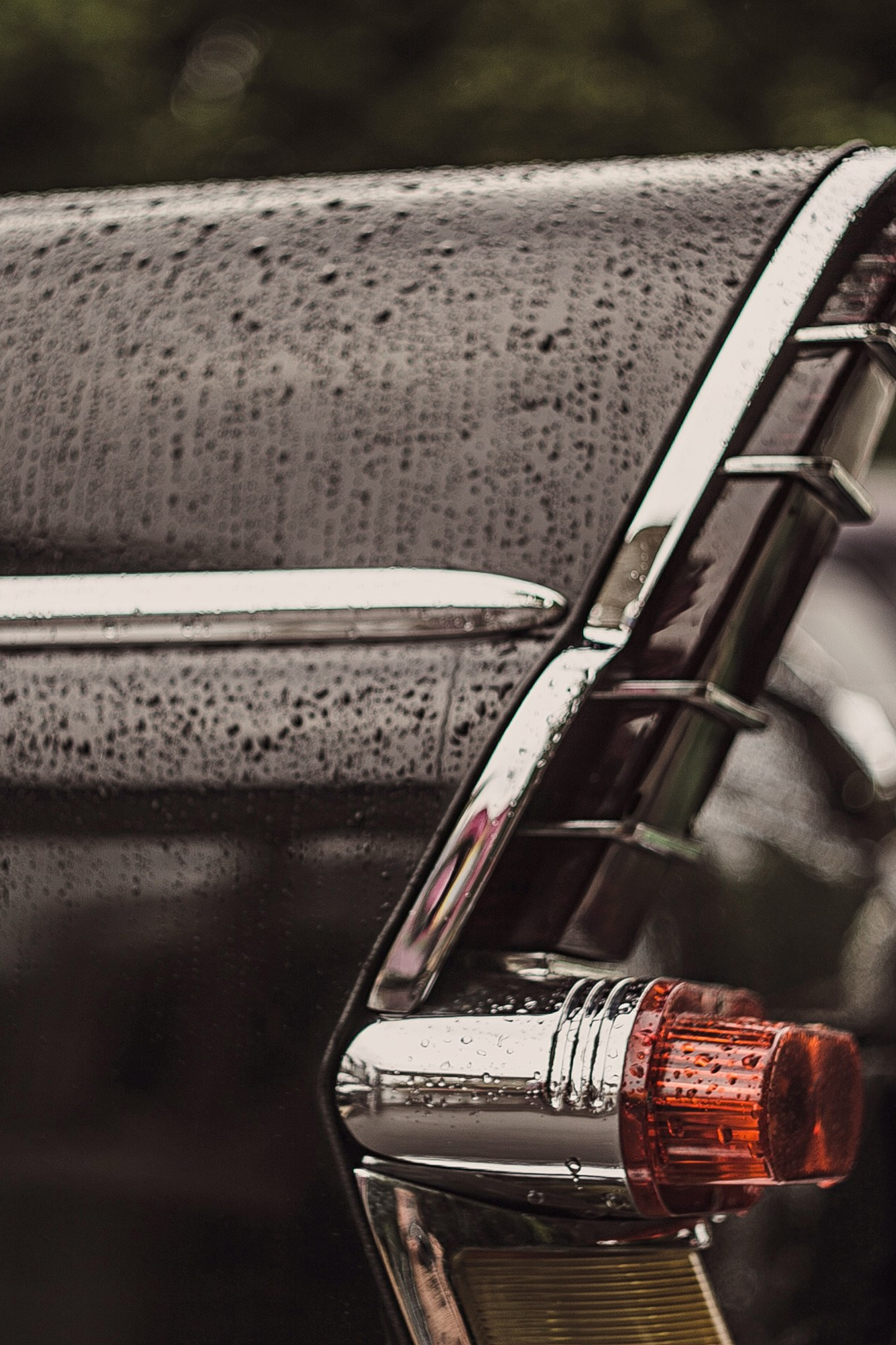 Истории. Семейный и репортажной фотограф в Красноярске и Москве Виктор Бабинцев