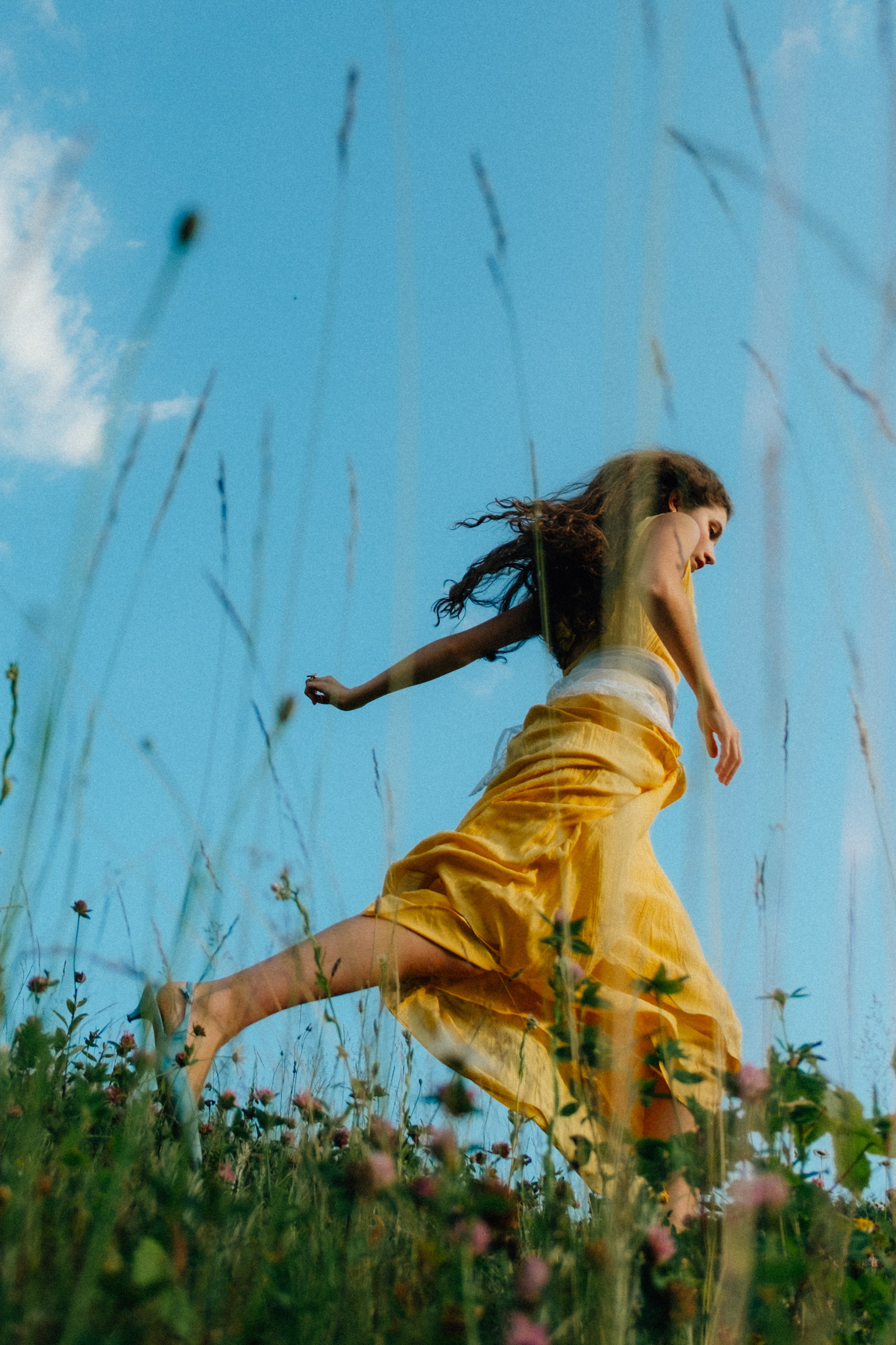 Ромашковые вершины