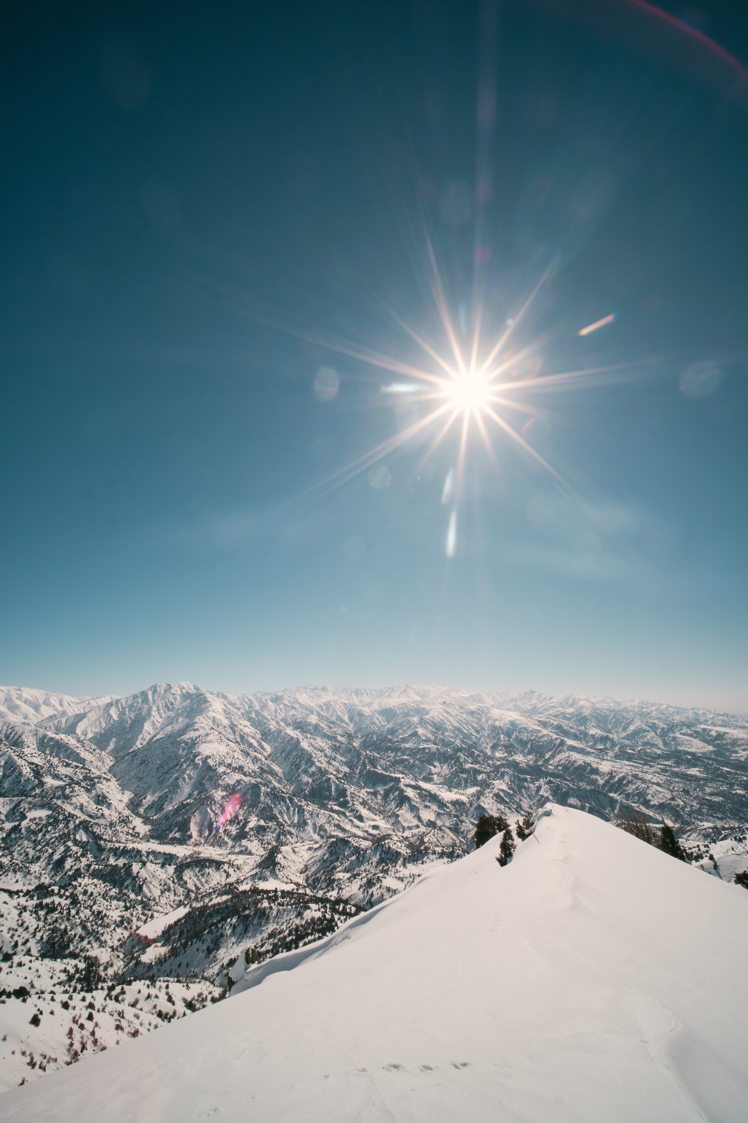 Узбекистан. Амирсай