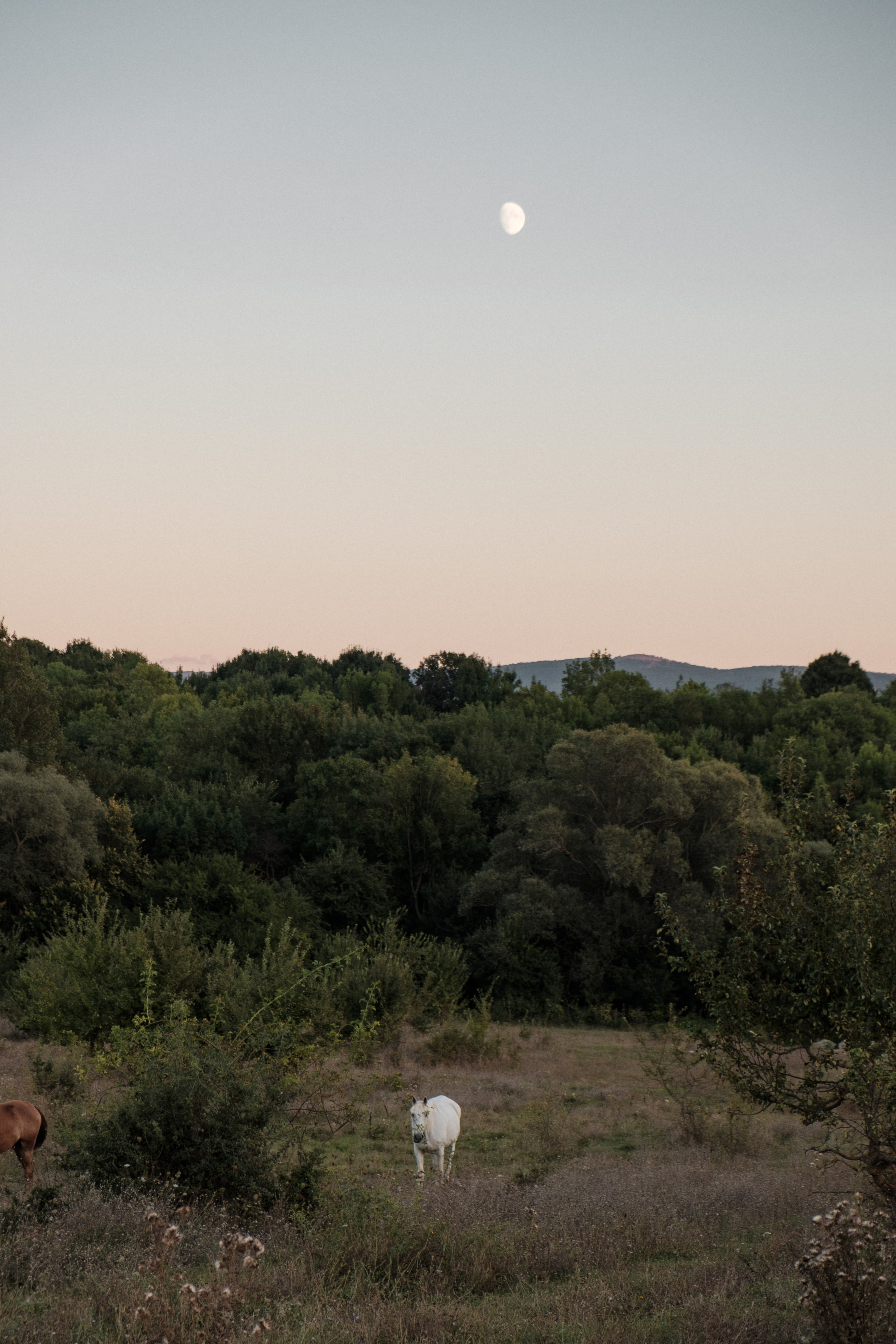 Уркуста-парк