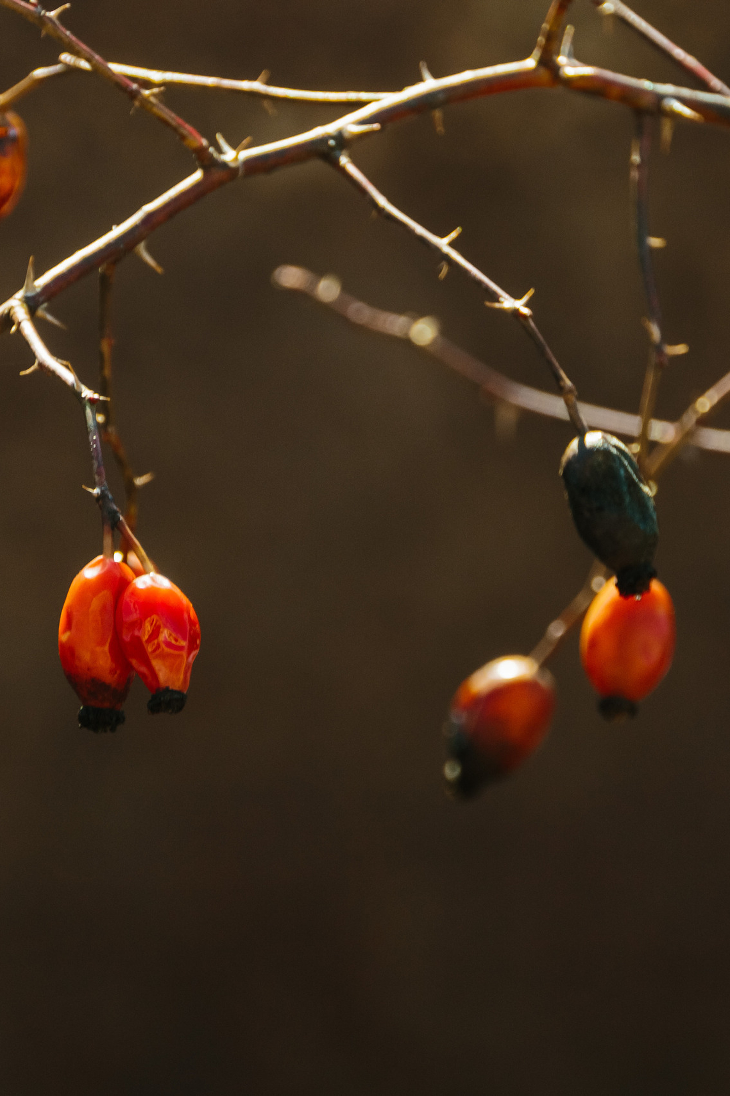 Отзывы. Семейный, Детский, Репортажный фотограф в Санкт-Петербурге Погодина Лю