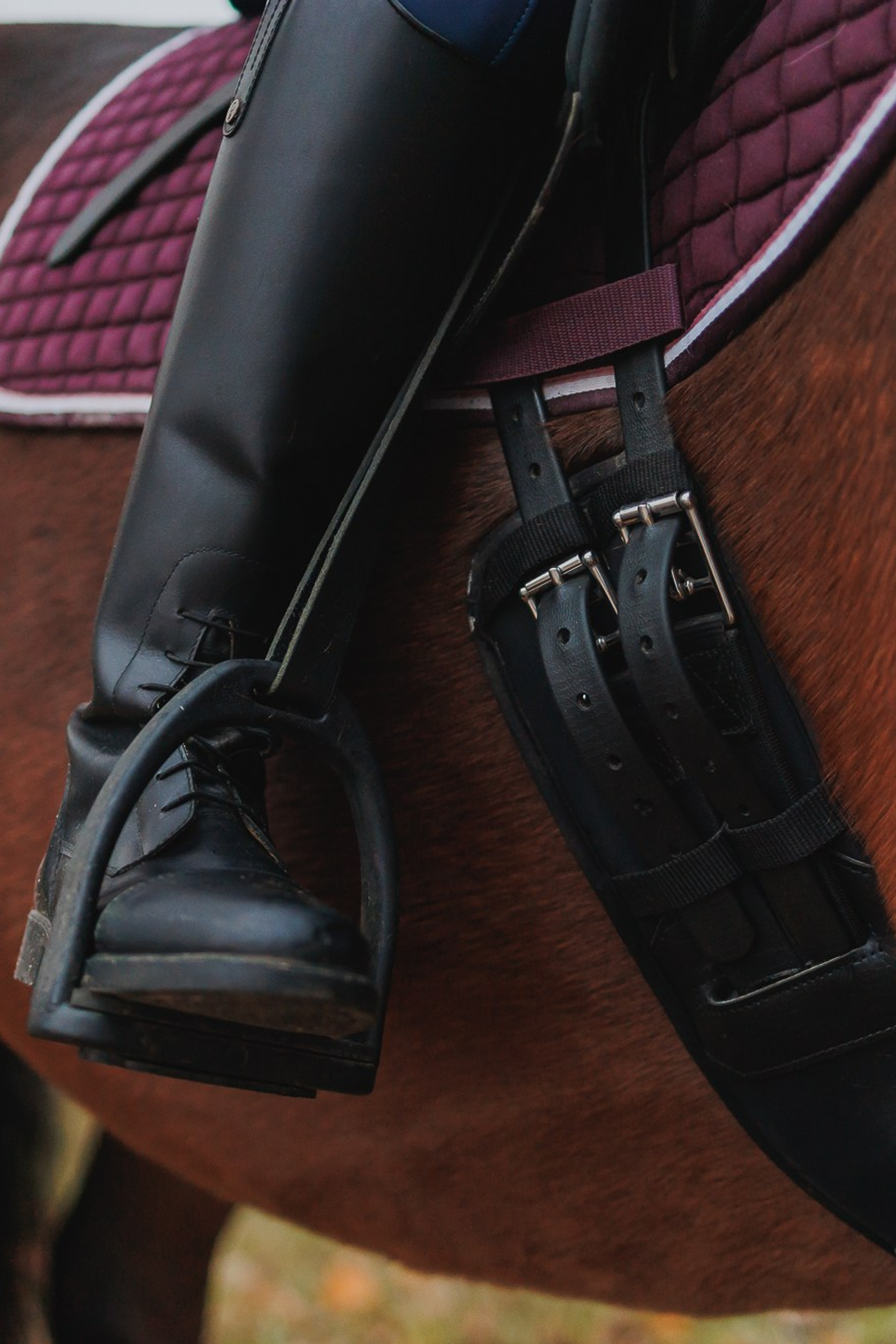 Осторожно, превышение уровня милоты!. Фотограф собак, фотограф-анималист Аня Титова (Titanya). Москва