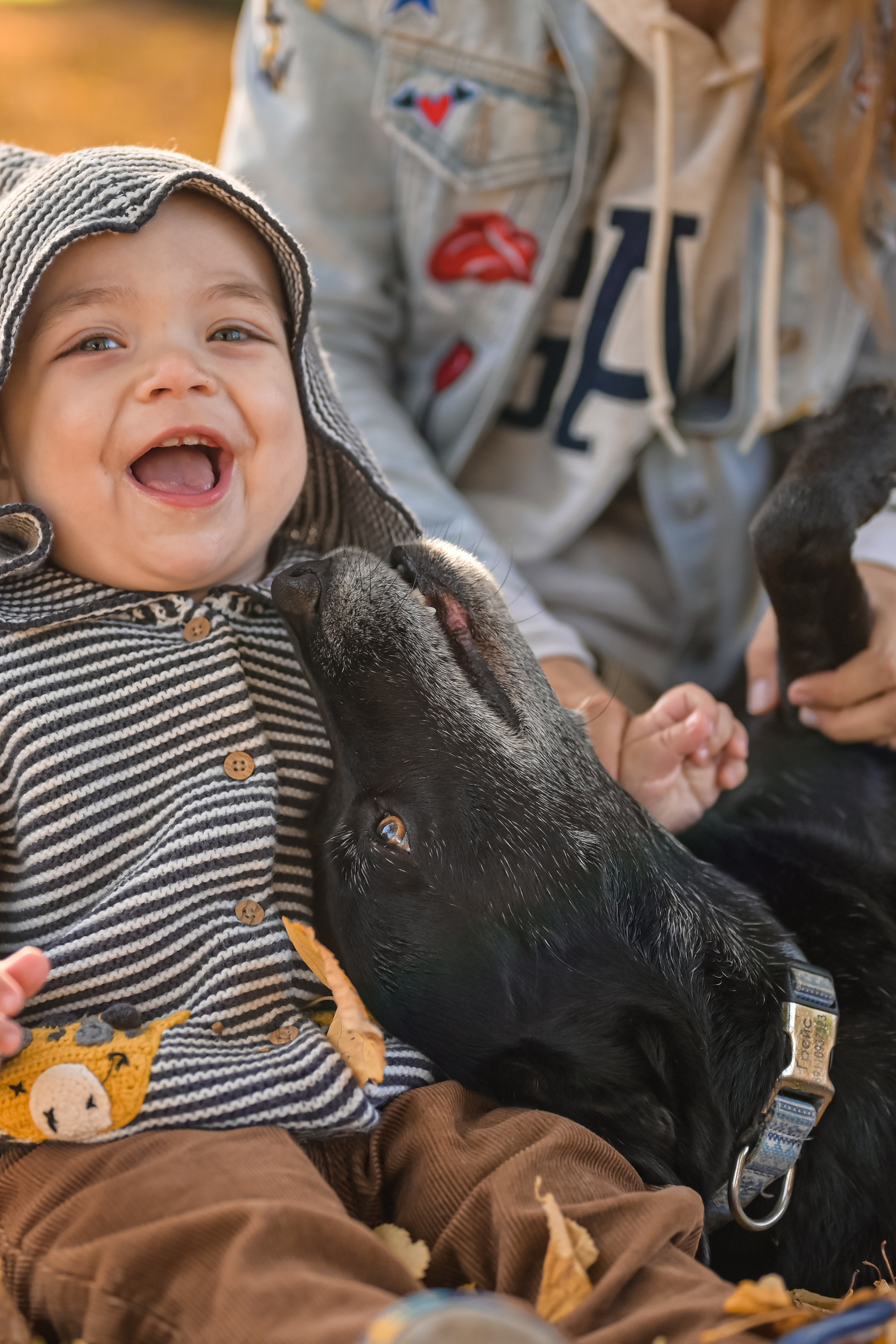Осенние съемки для вашей семьи