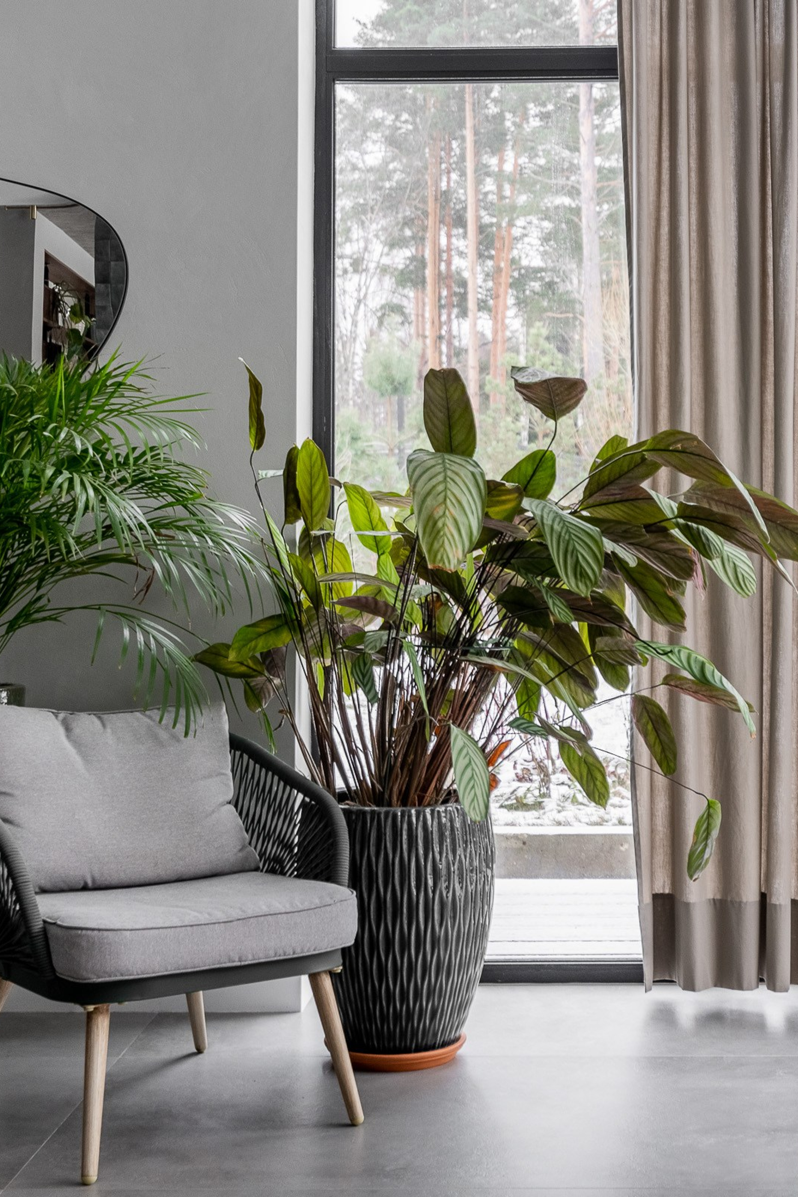 Дом в Репино