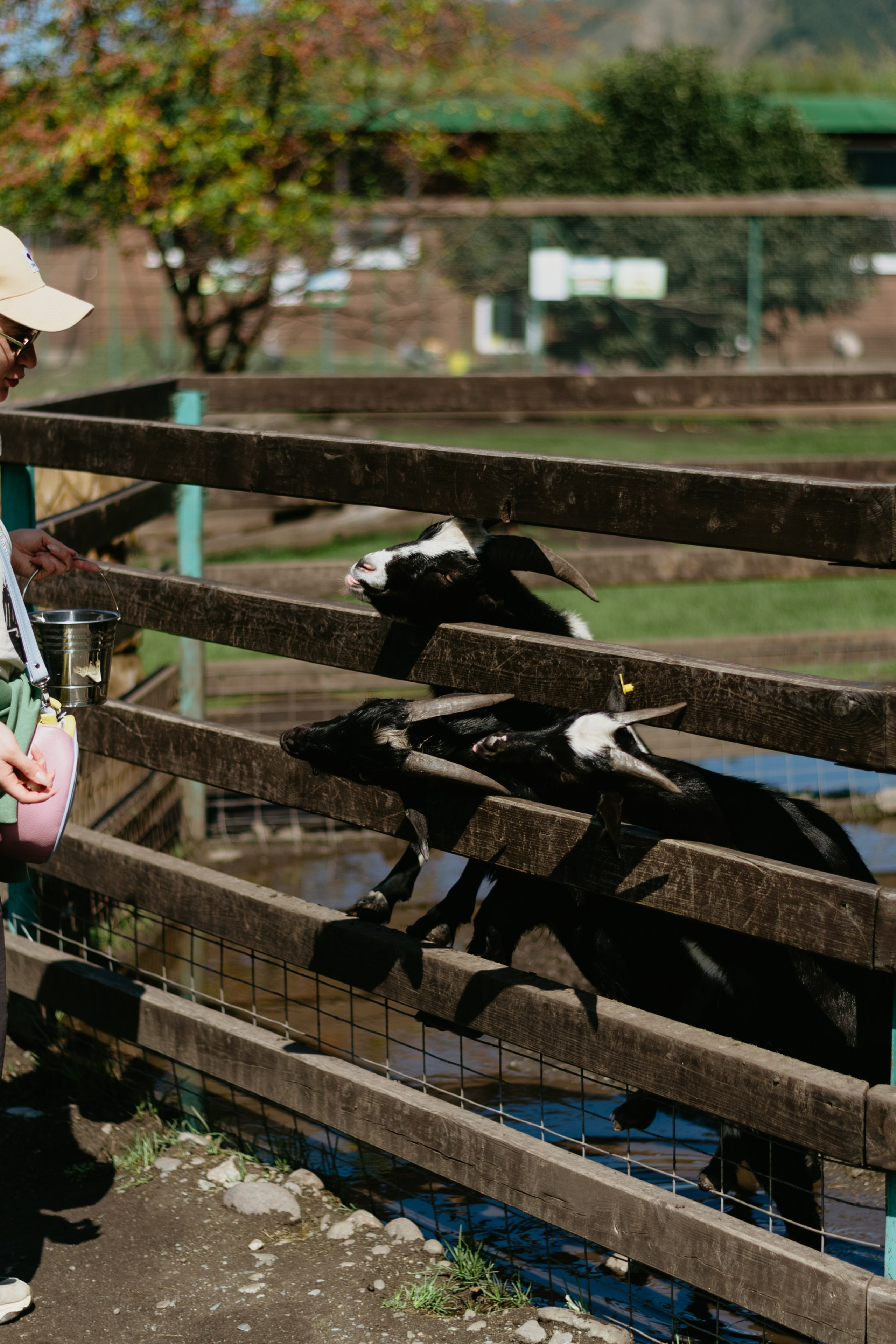 Мои путешествия