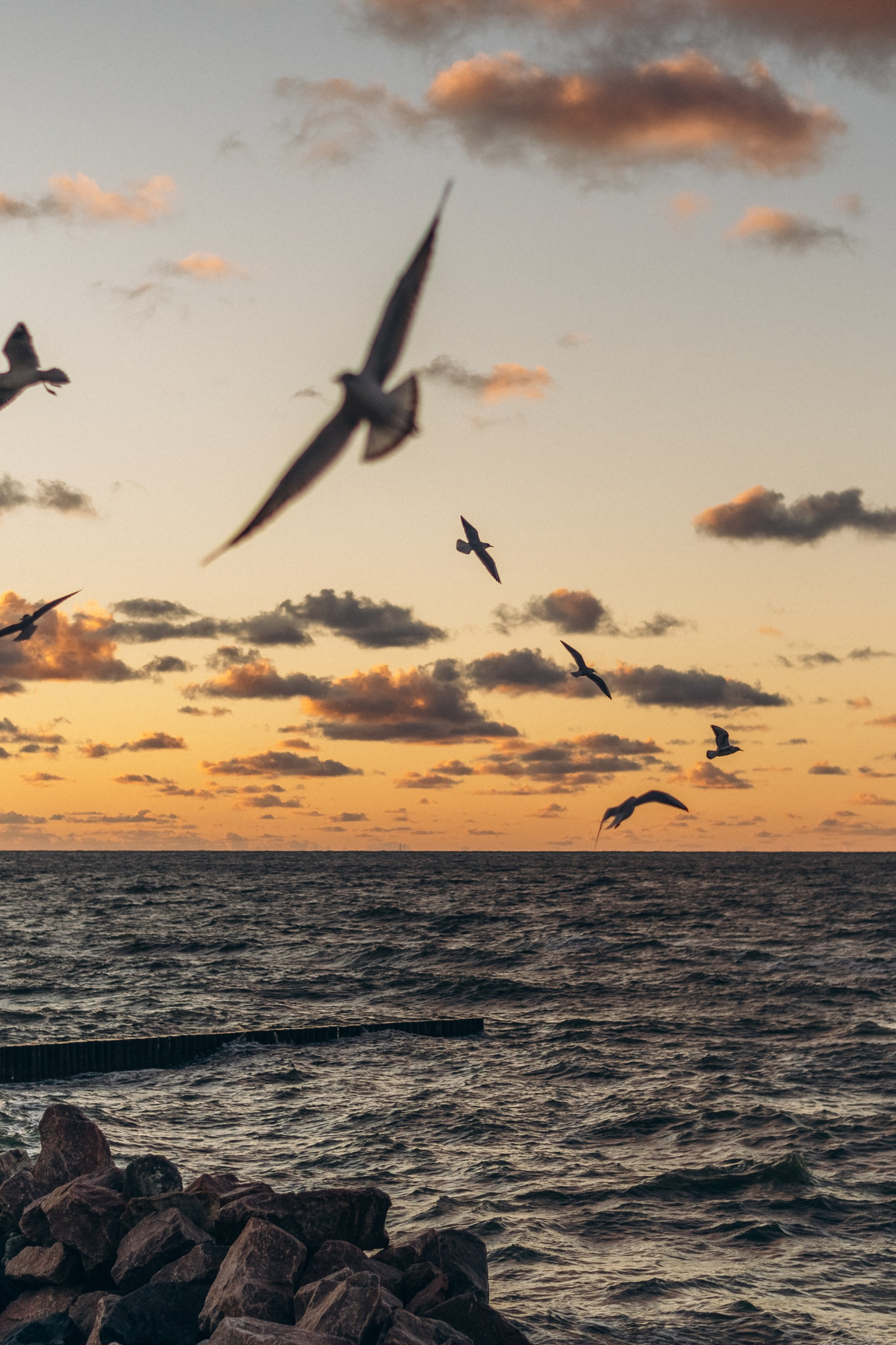 Мои путешествия