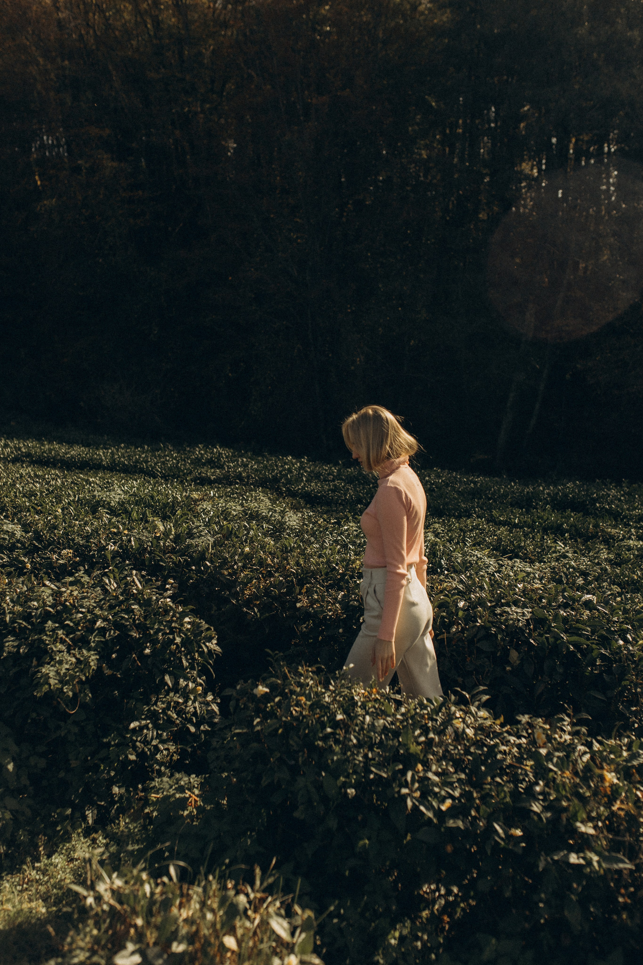 Анонсы фото: первые 5 лучших кадров на следующий день после съёмки. Яна Романова Семейный фотограф в Сочи и Адлере