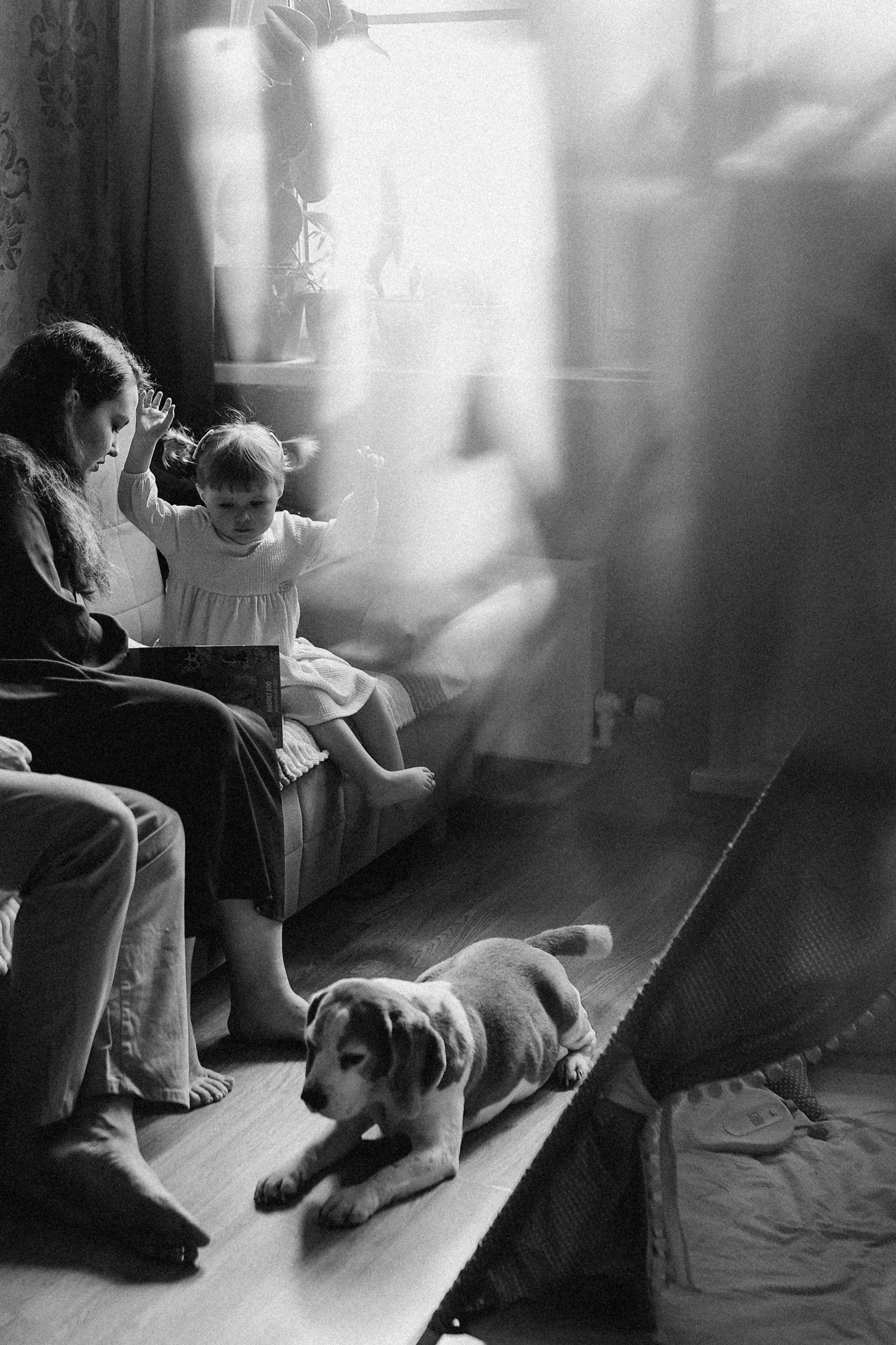 Семейная съемка дома Саши, Леши и Иларии