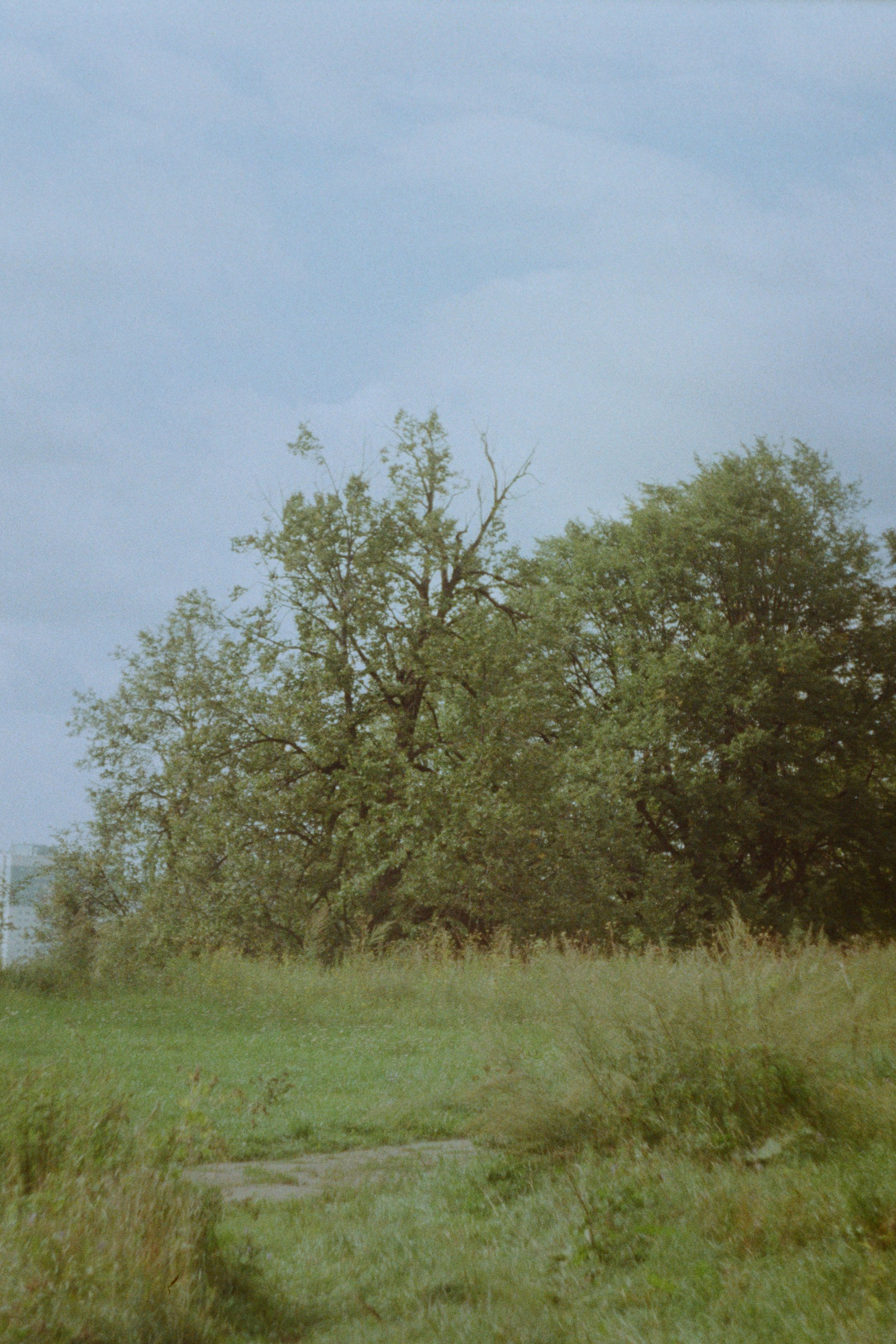 Плёночные эксперименты