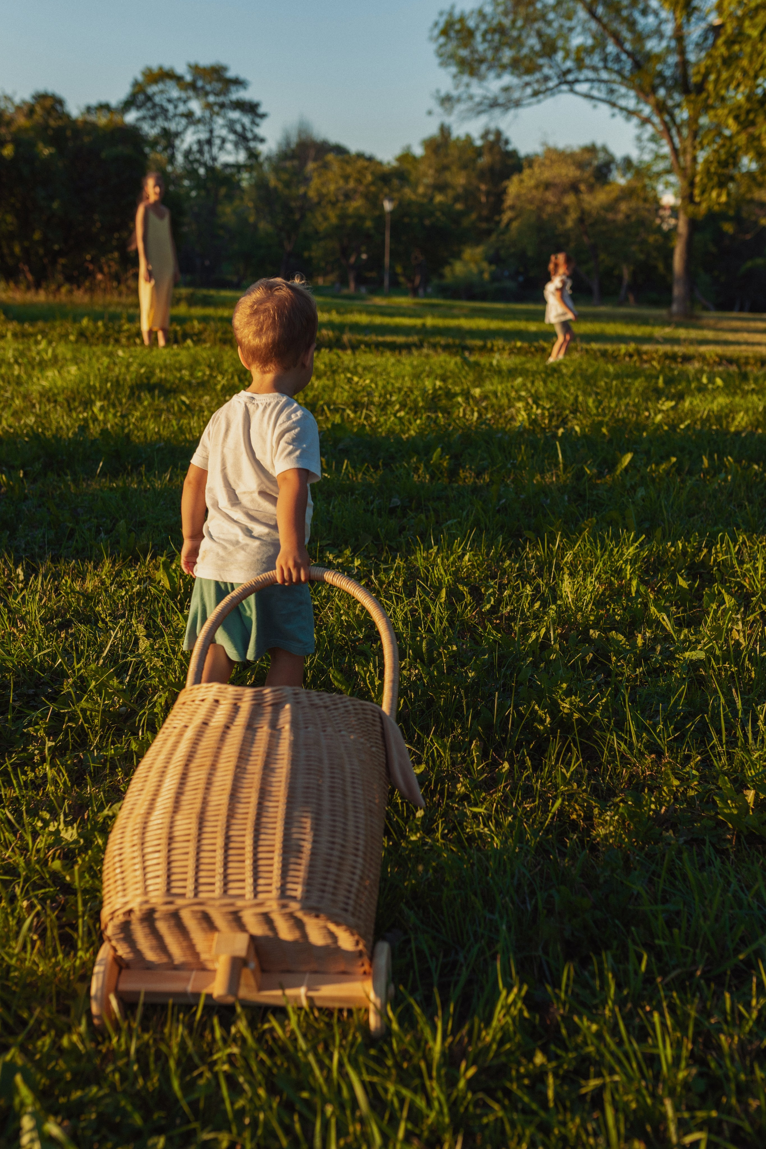 семейный портрет с тремя детьми на природе