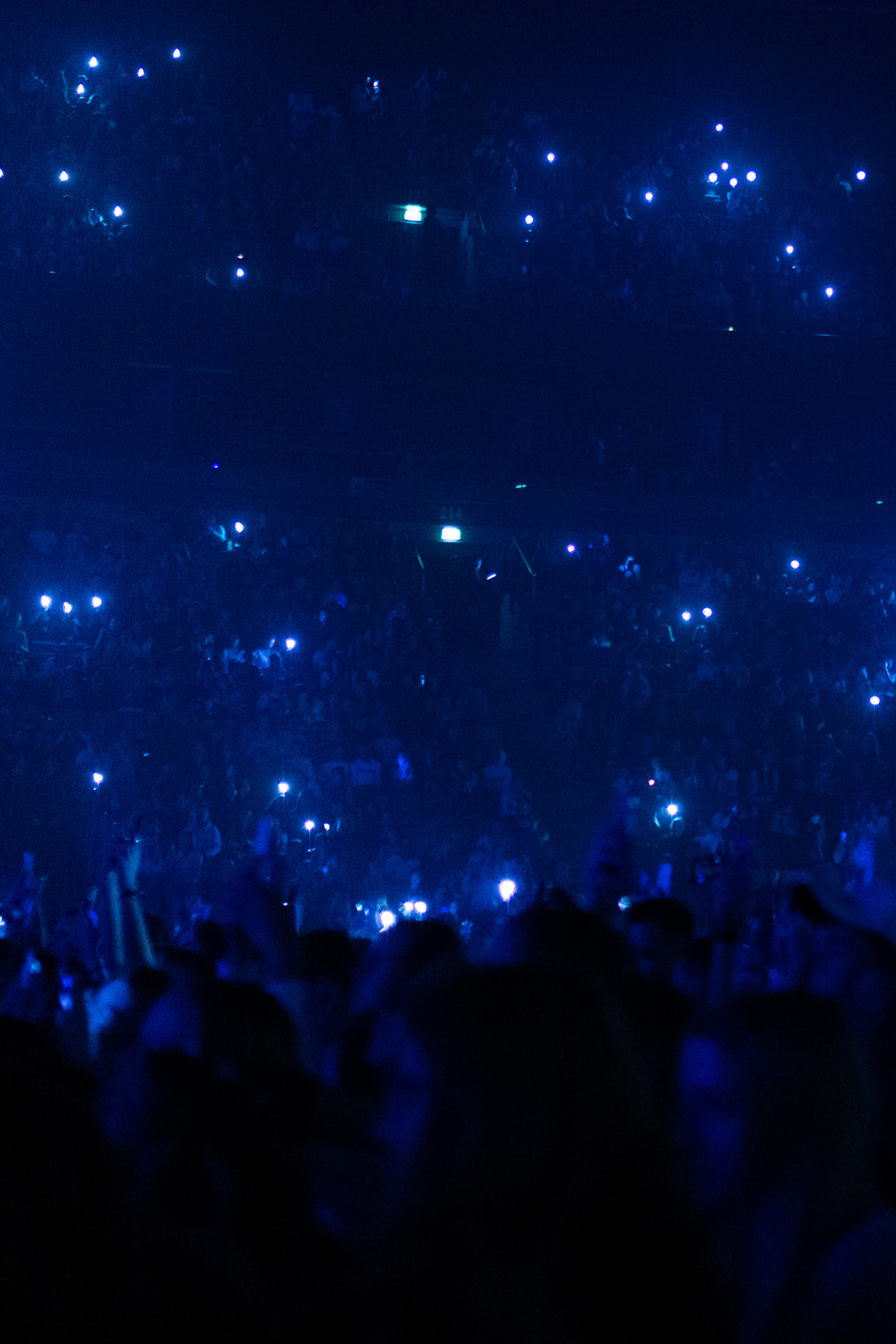 Портретный фотограф, свадебный фотограф, студийный фотограф, фотосессия Love Story, концертный фотограф, репортажный фотограф, коммерческий фотограф, фешн фотограф, международный фотограф, предметный фотограф