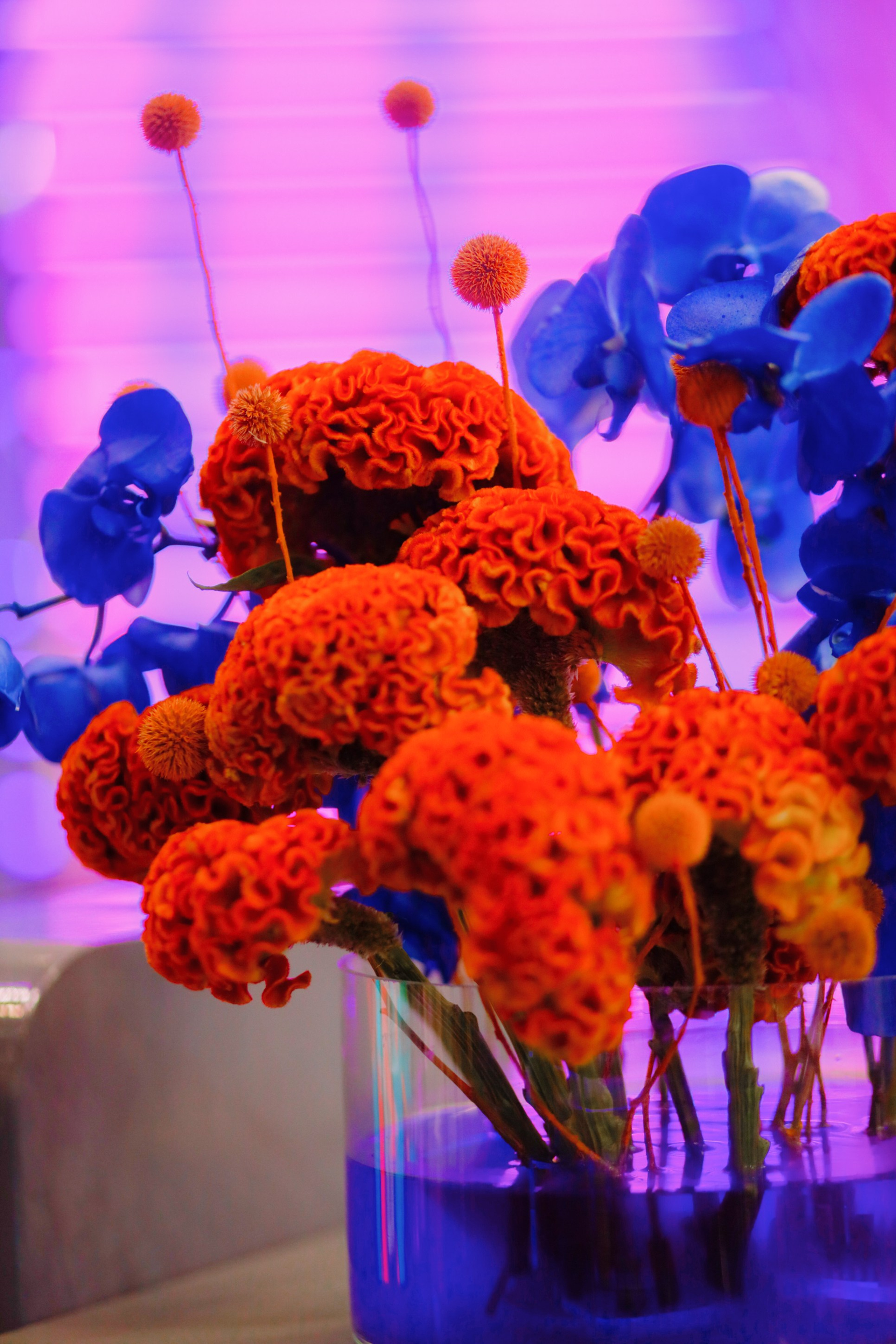 ПМЭФ 2024. Фотограф и видеограф в Санкт-Петербурге Александра Флотская