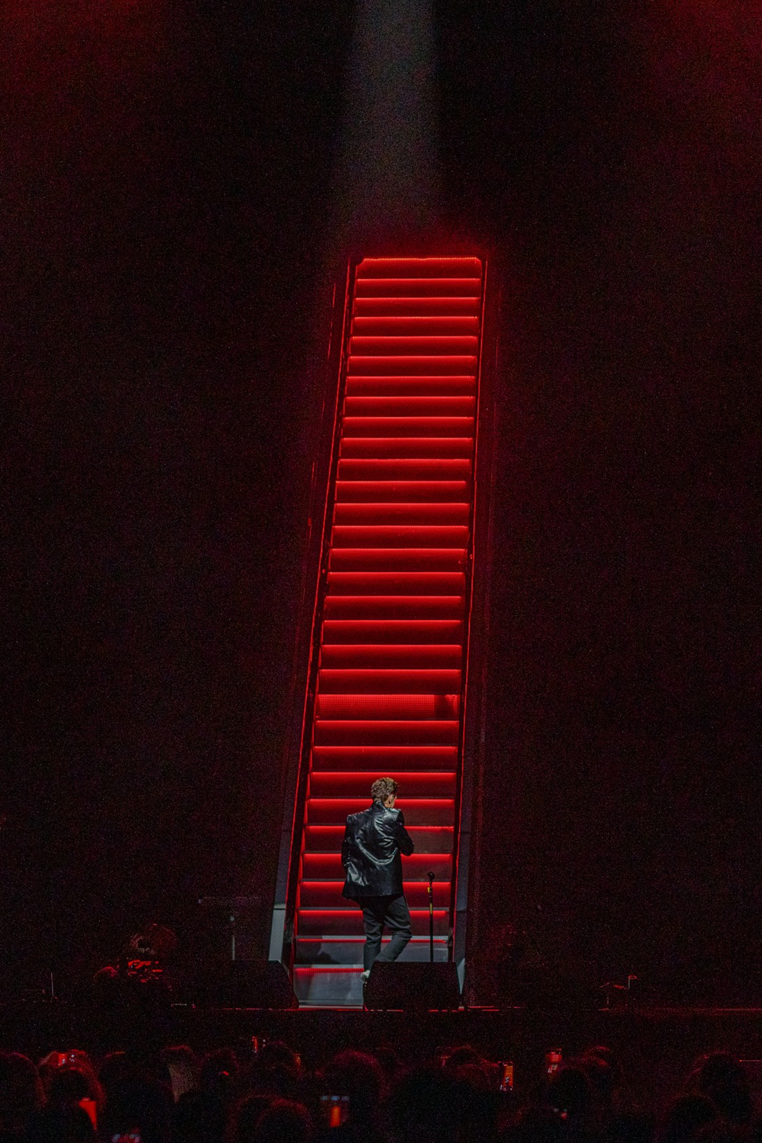 Концерт Димы Билана в&nbsp;Ледовом Дворце, Концерт Димы Билана в Санкт-Петербурге