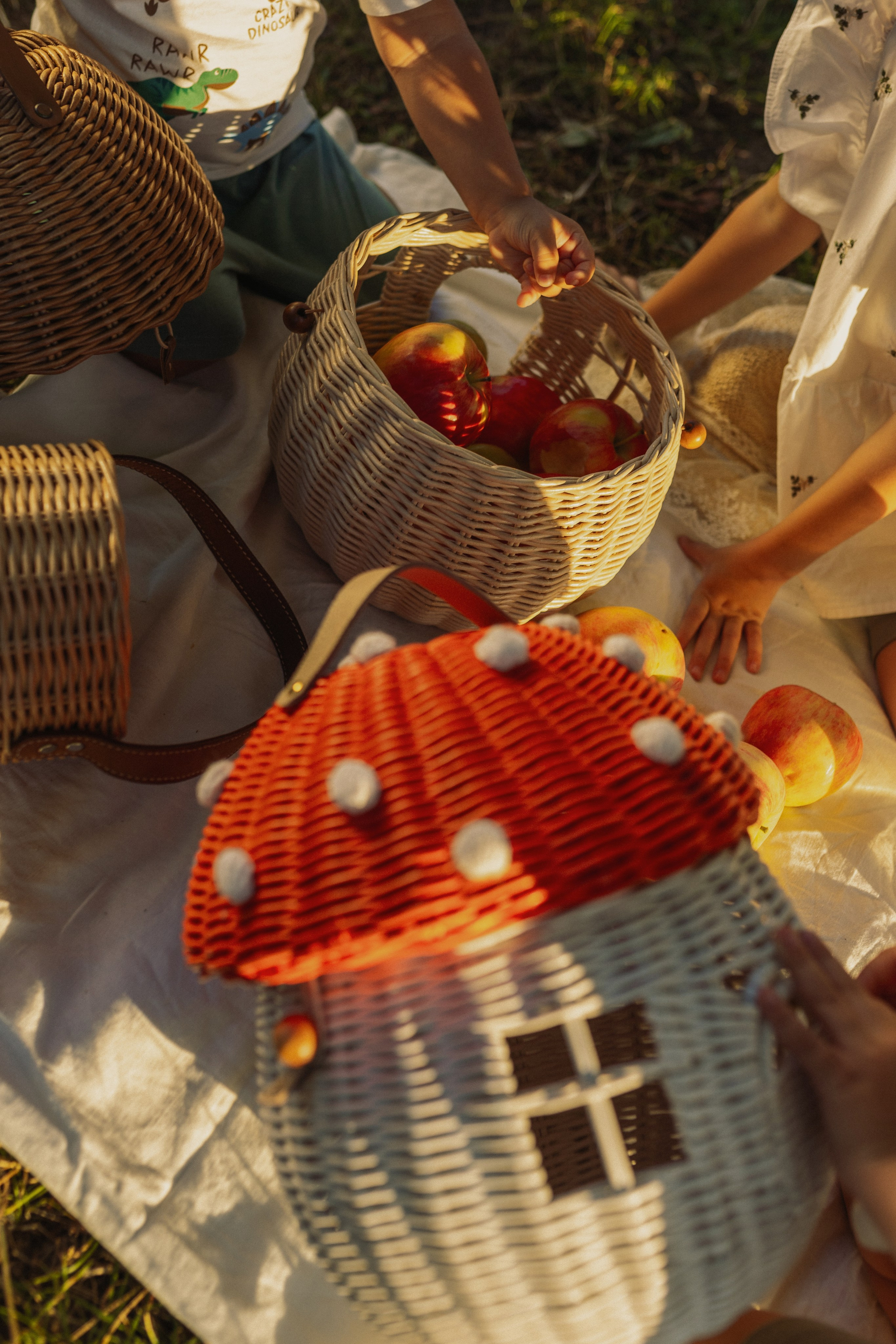 семейная съёмка с детьми летом на природе