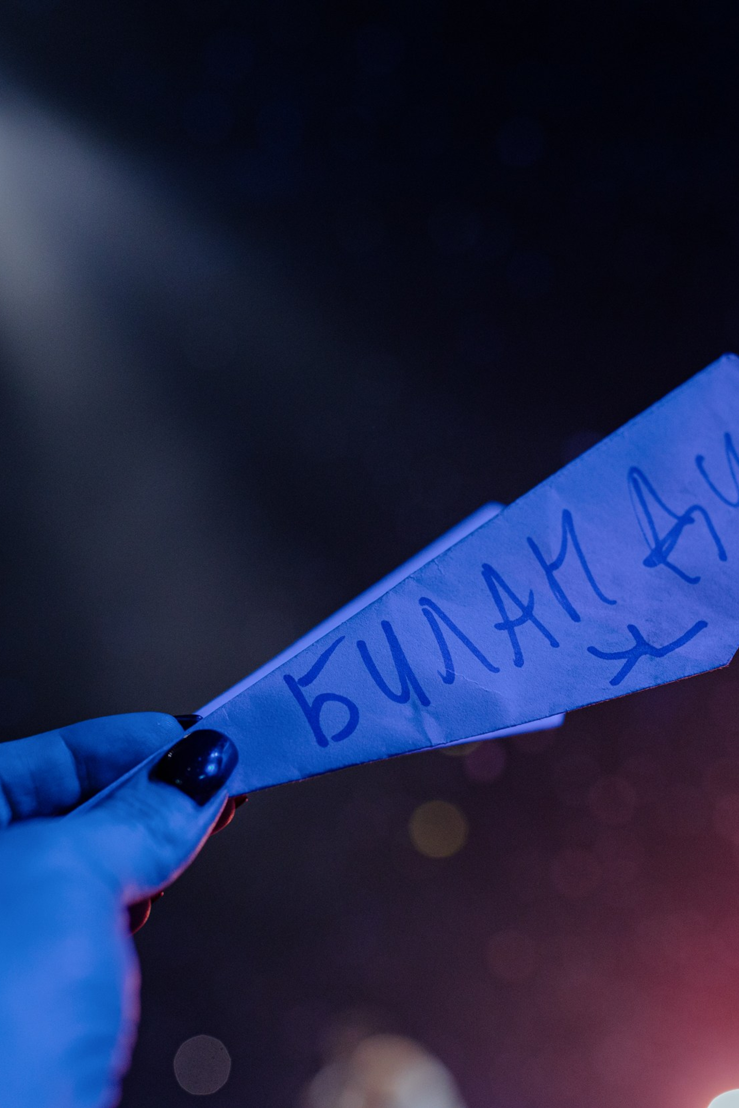 Концерт Димы Билана в&nbsp;Ледовом Дворце, Концерт Димы Билана в Санкт-Петербурге