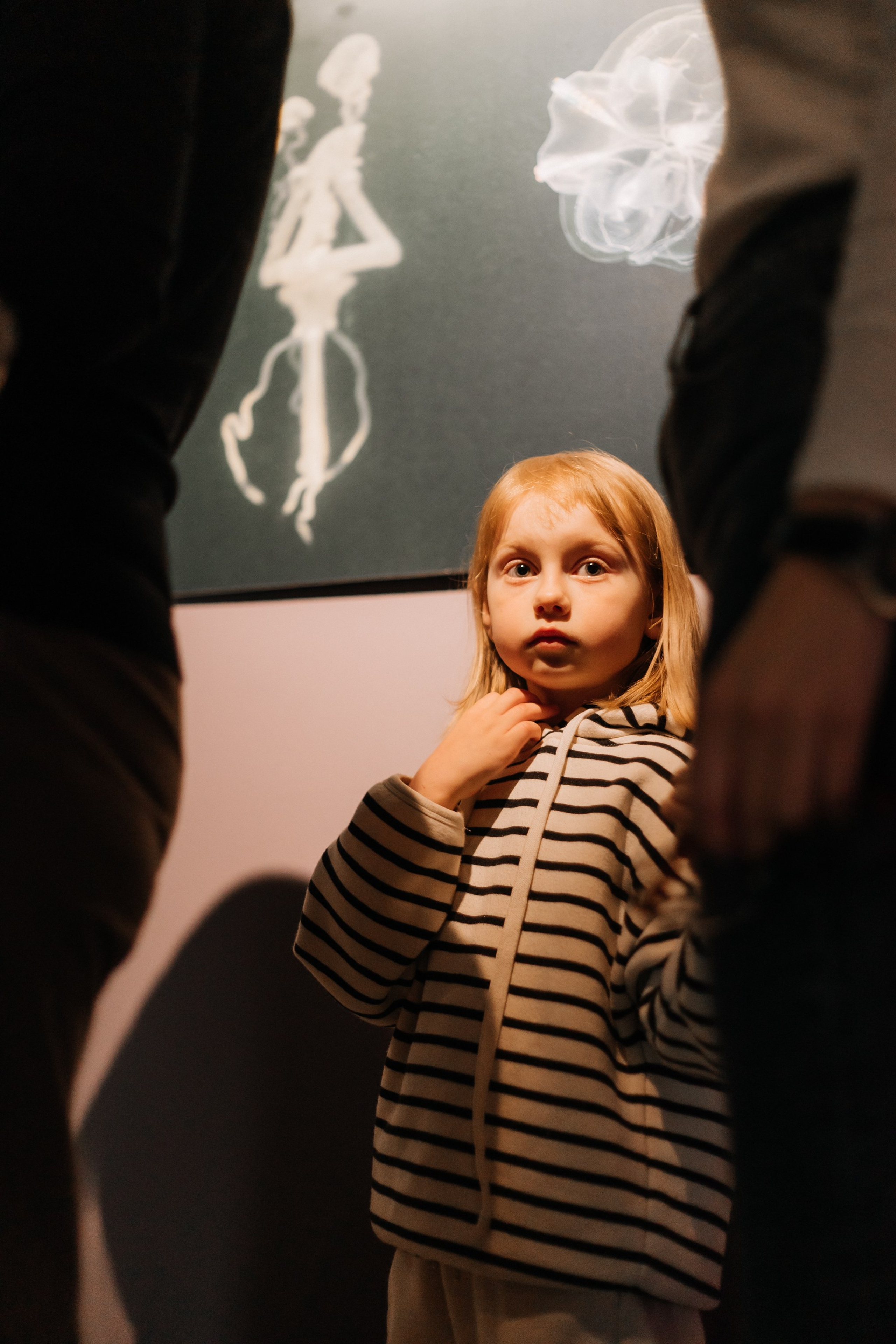 Корпоратив, корпоративная фотосессия, фотограф на мероприятие, репортаж корпоратива, репортаж корпоративного праздника, фотосъёмка корпоратива, съёмка корпоратива, фотограф на корпоратив, фотограф на день рождения, фотограф на день рождения компании, репортажный фотограф, репортаж праздника, фотосъёмка праздника, фотограф на новый год, фотограф санкт-петербург, фотограф питер, фотограф москва, фотограф спб, музей эрарта, эрарта