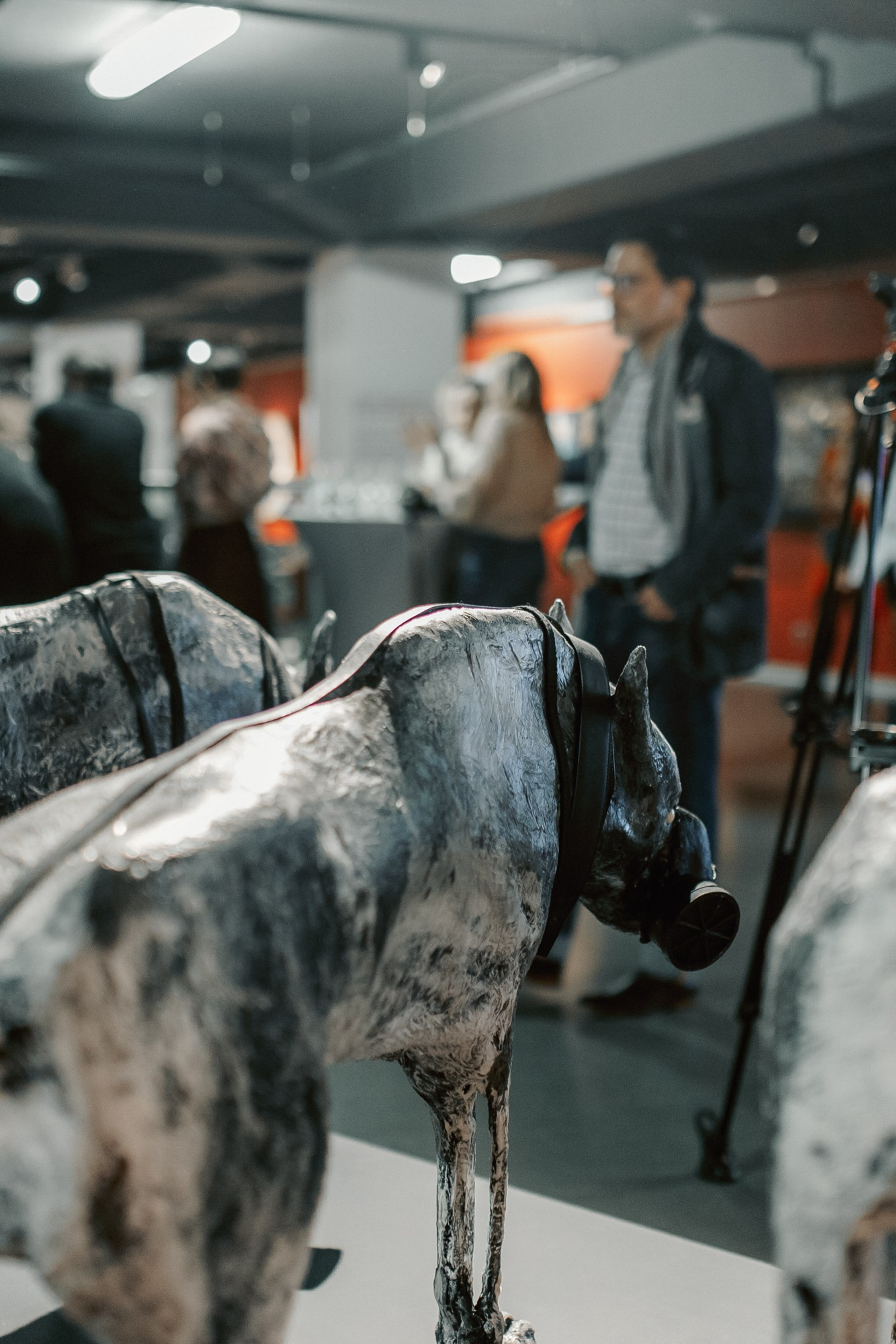 Корпоратив, корпоративная фотосессия, фотограф на мероприятие, репортаж корпоратива, репортаж корпоративного праздника, фотосъёмка корпоратива, съёмка корпоратива, фотограф на корпоратив, фотограф на день рождения, фотограф на день рождения компании, репортажный фотограф, репортаж праздника, фотосъёмка праздника, фотограф на новый год, фотограф санкт-петербург, фотограф питер, фотограф москва, фотограф спб, музей эрарта, эрарта, эрарта премия