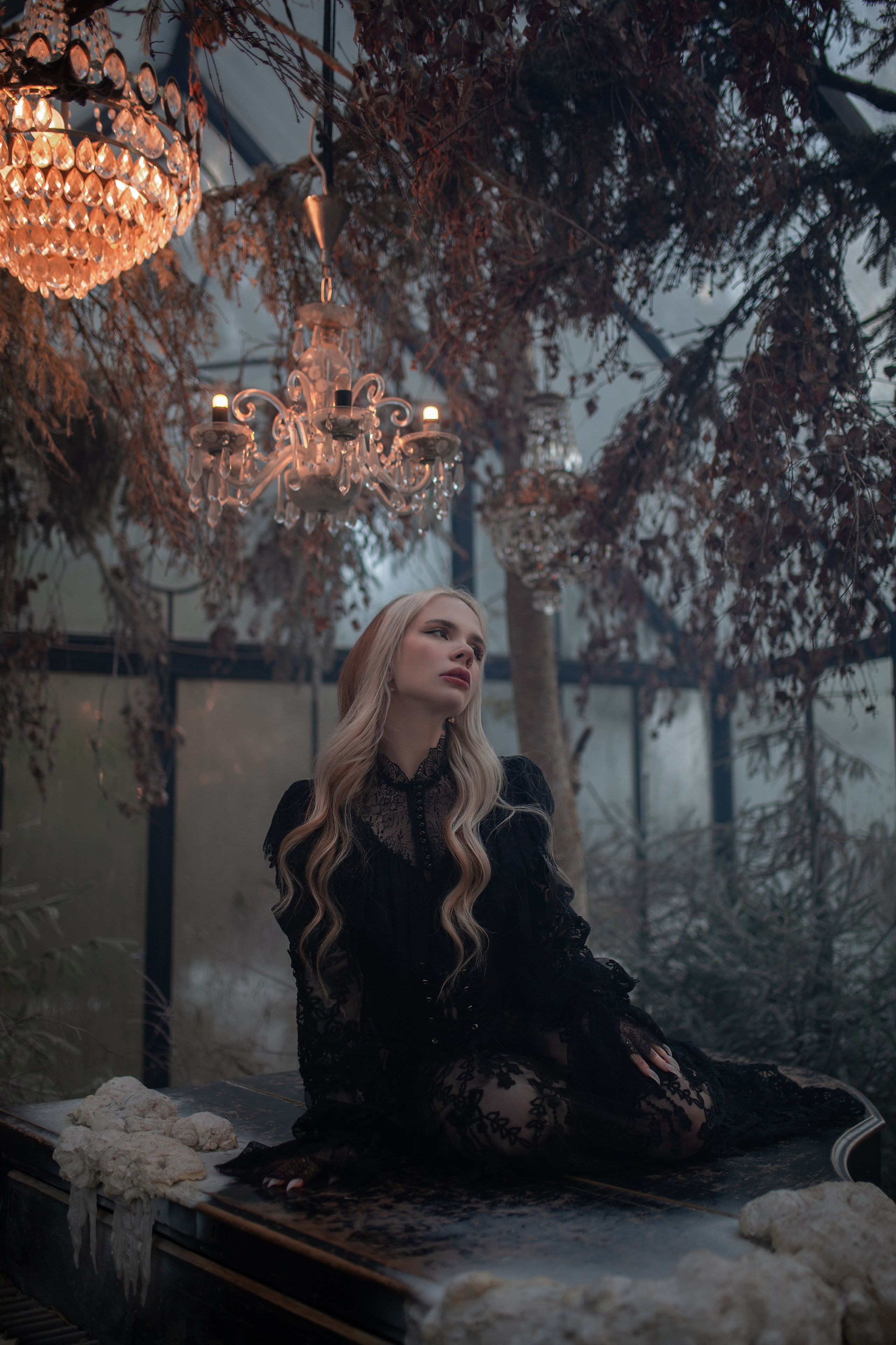 Замерзший Лес