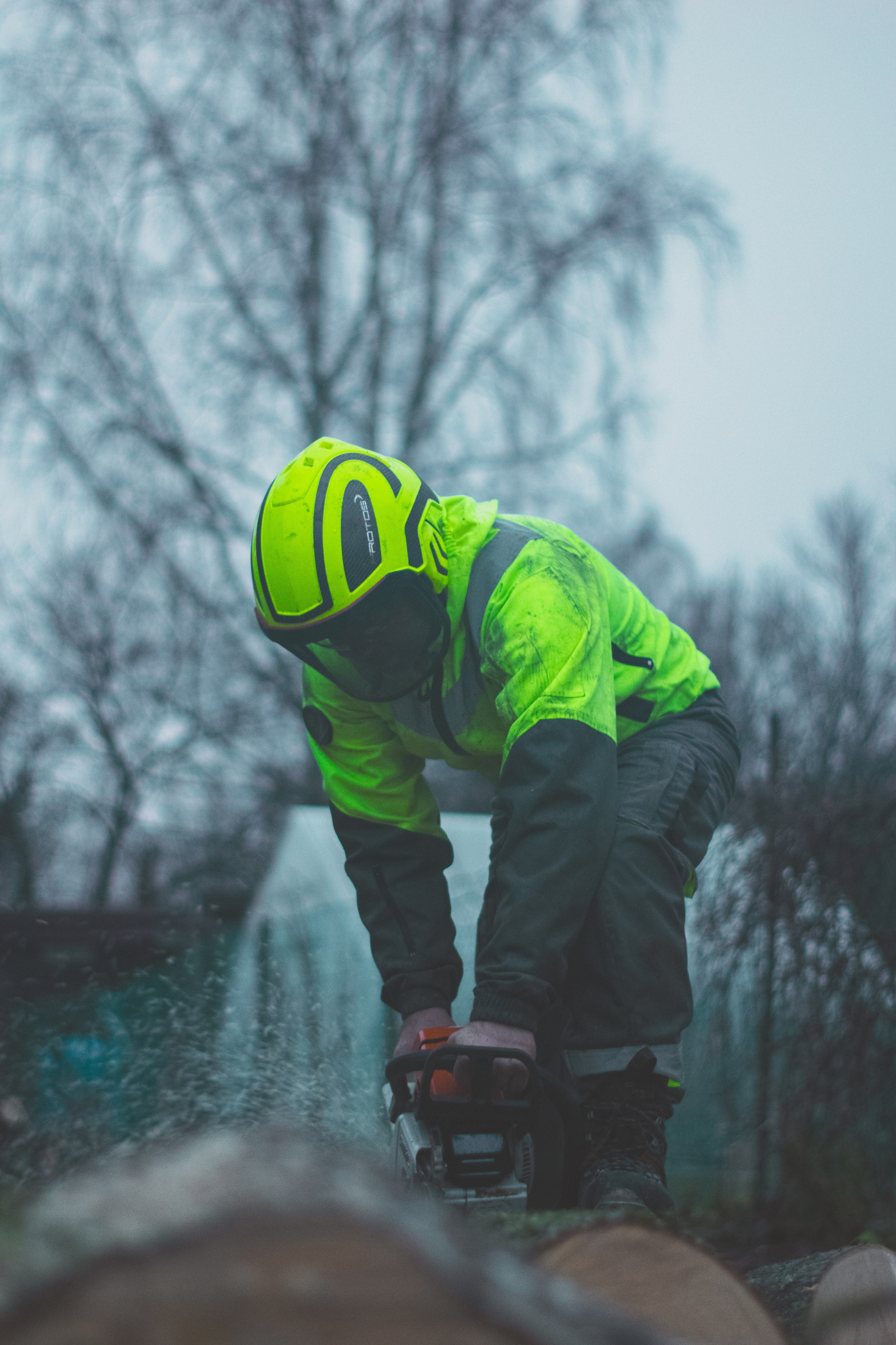 Спил деревьев.