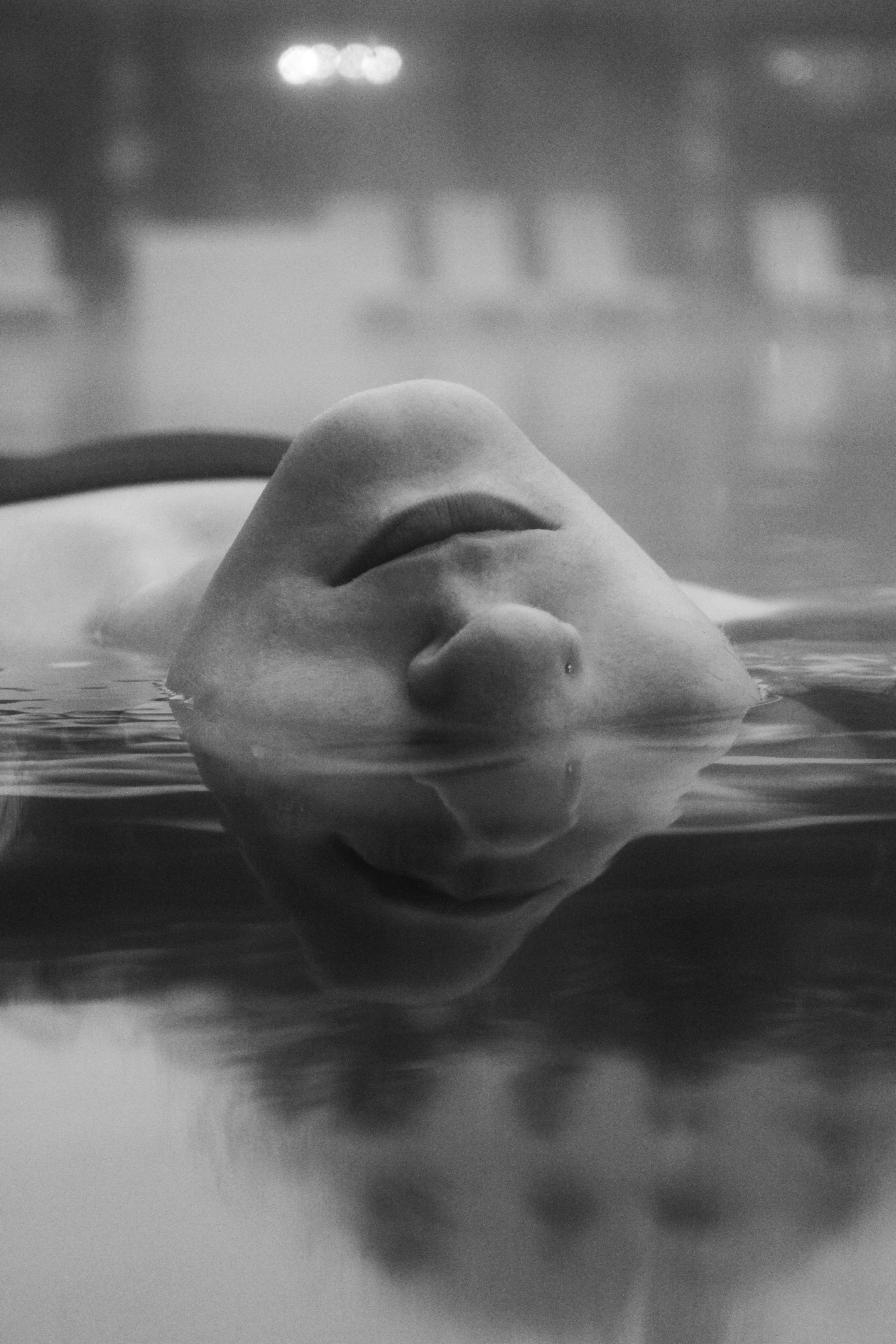 Фотограф в Карелии